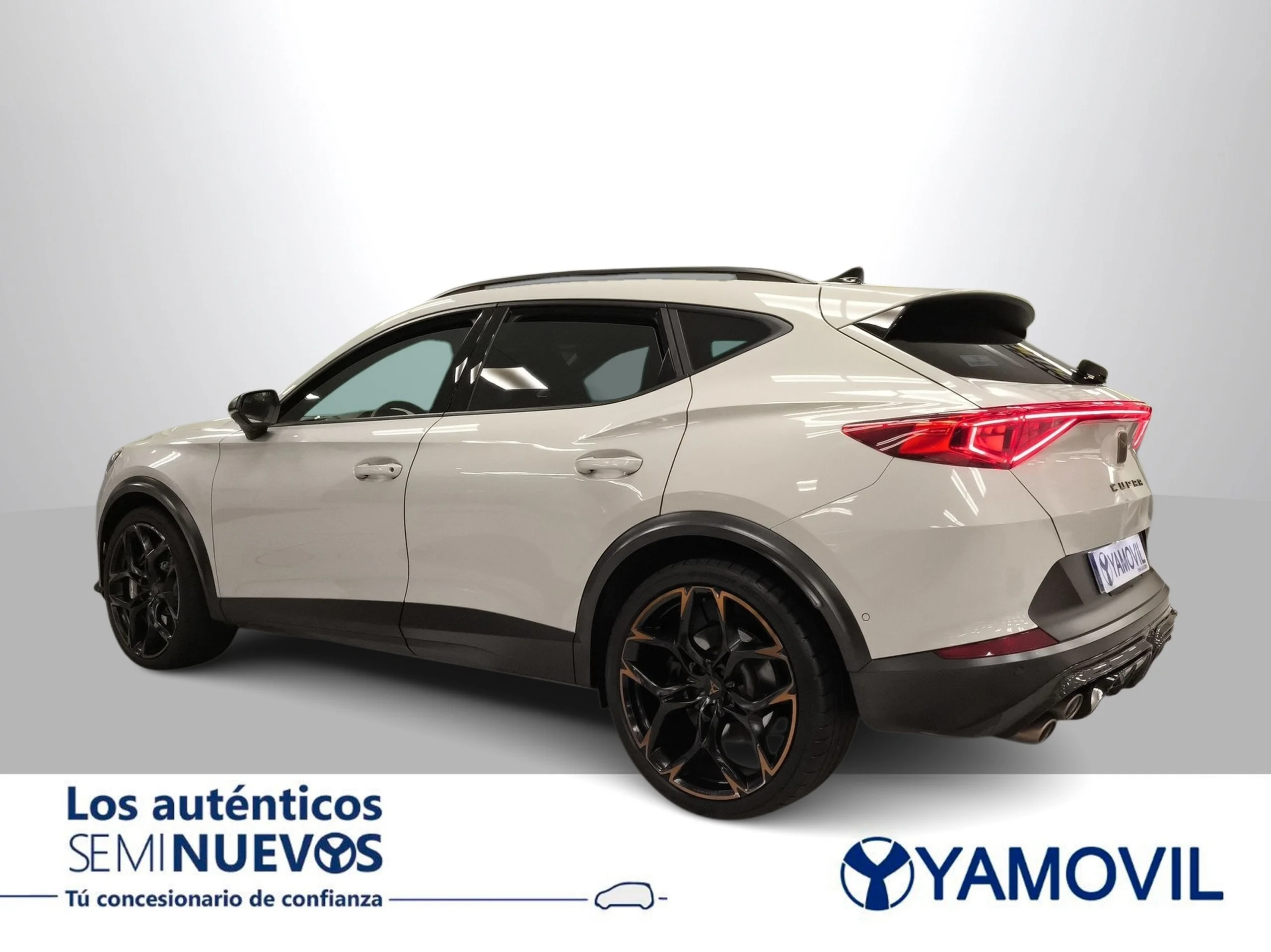 Cupra Formentor 2.5 TSI VZ5 4Drive DSG 287 kW (390 CV) - Foto 5