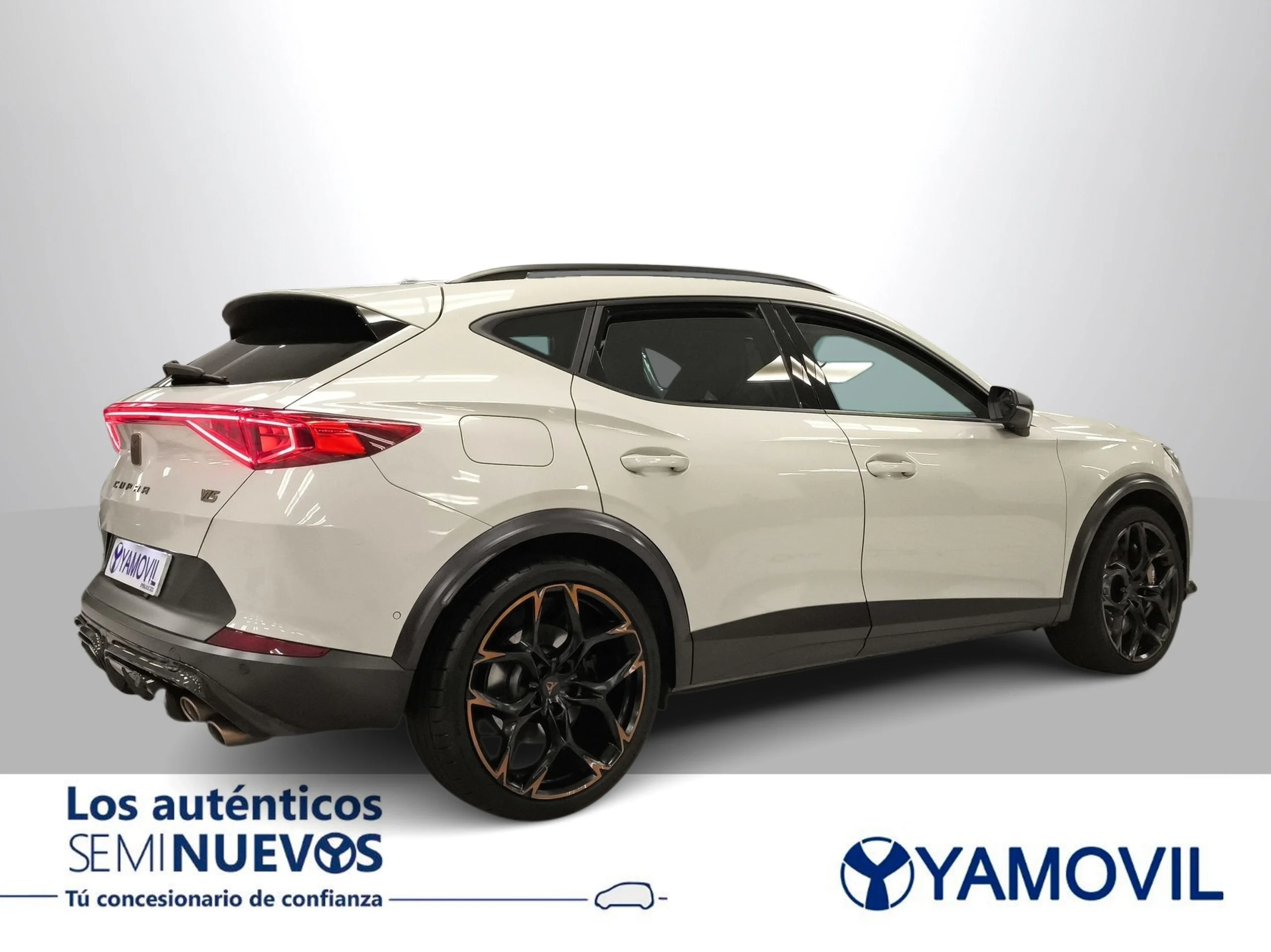 Cupra Formentor 2.5 TSI VZ5 4Drive DSG 287 kW (390 CV) - Foto 6