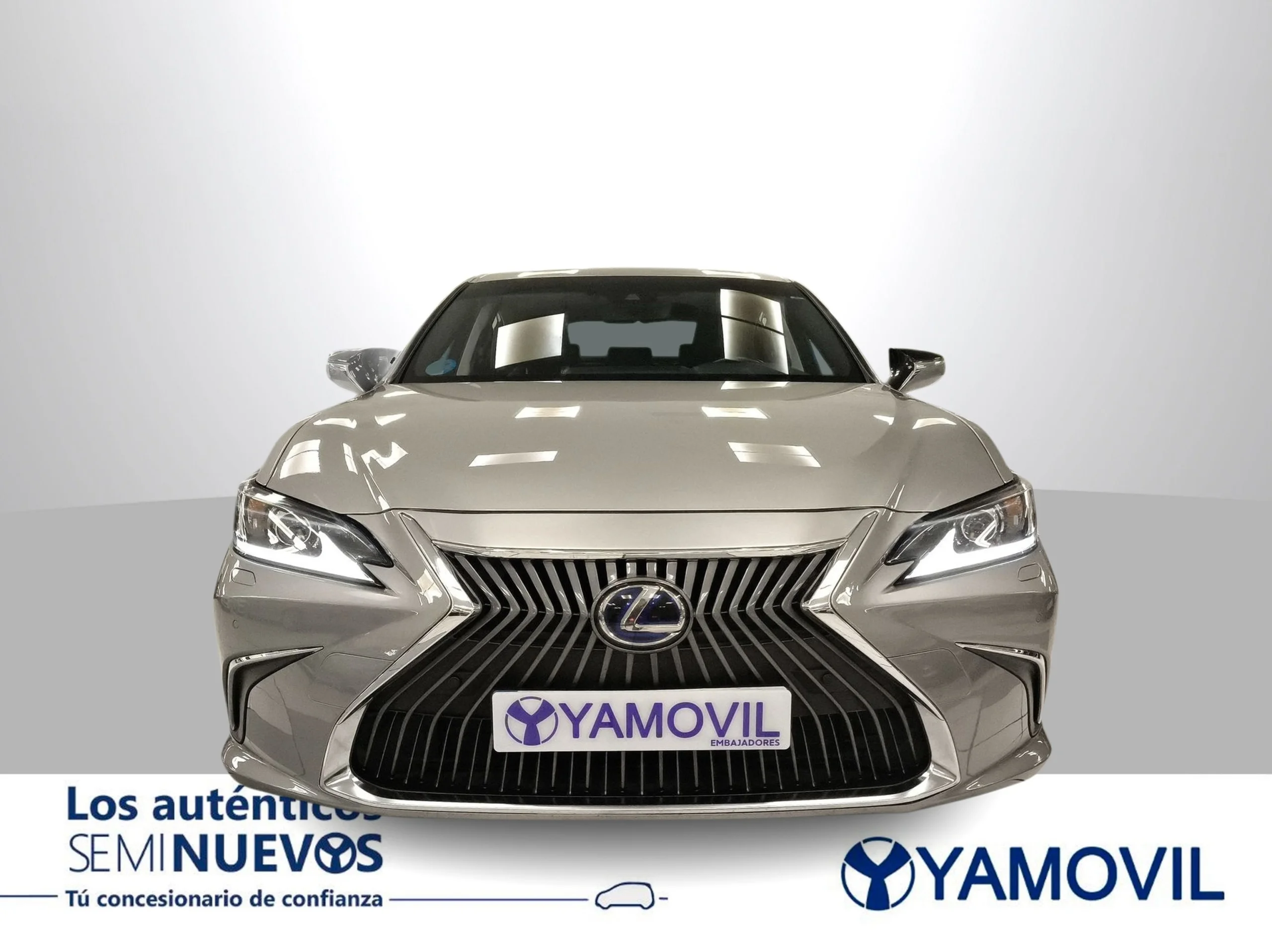 Lexus ES 300h Business 160 kW (218 CV) - Foto 3