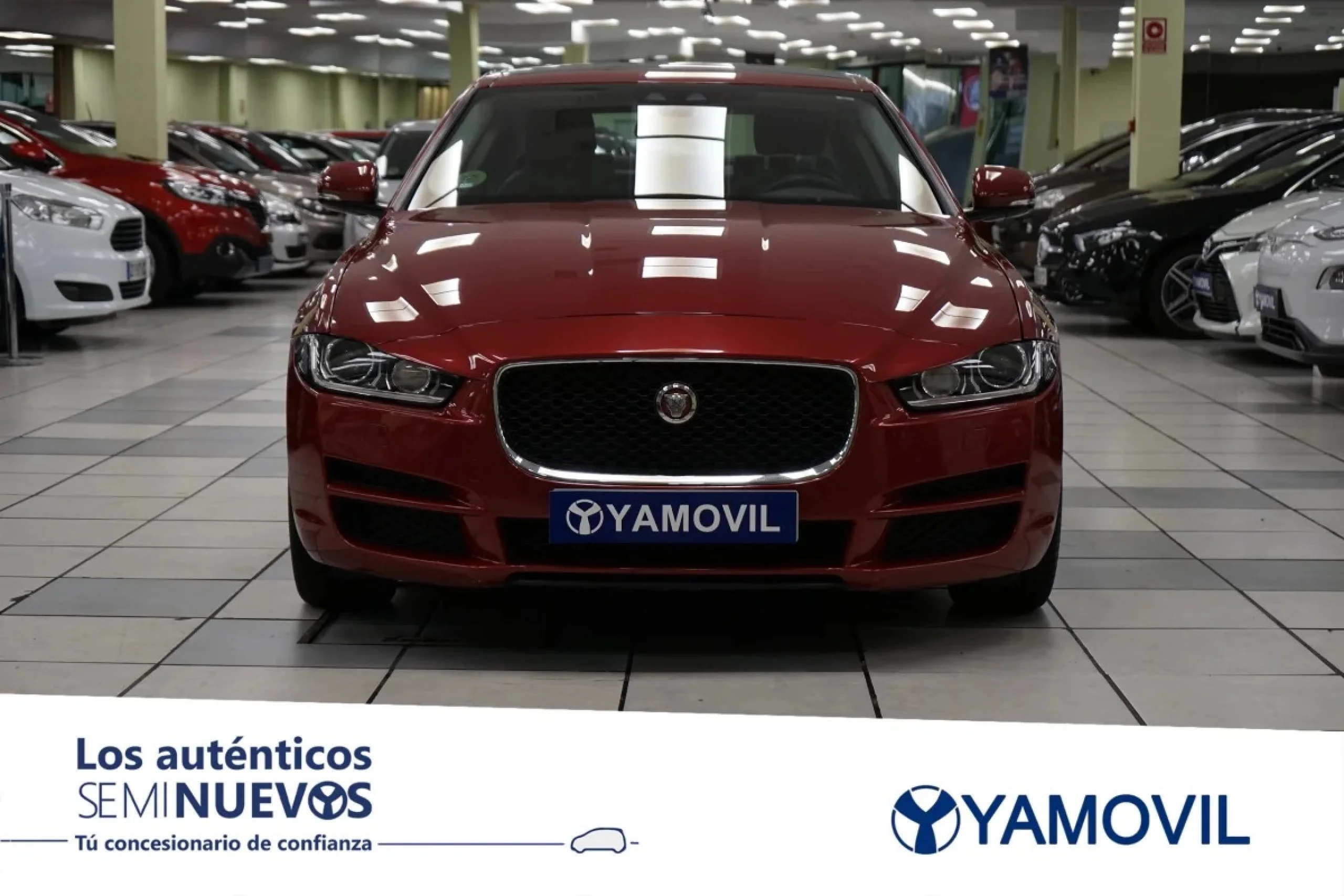 Jaguar XE 2.0 GTDi Minus Prestige Auto 147 kW (200 CV) - Foto 2