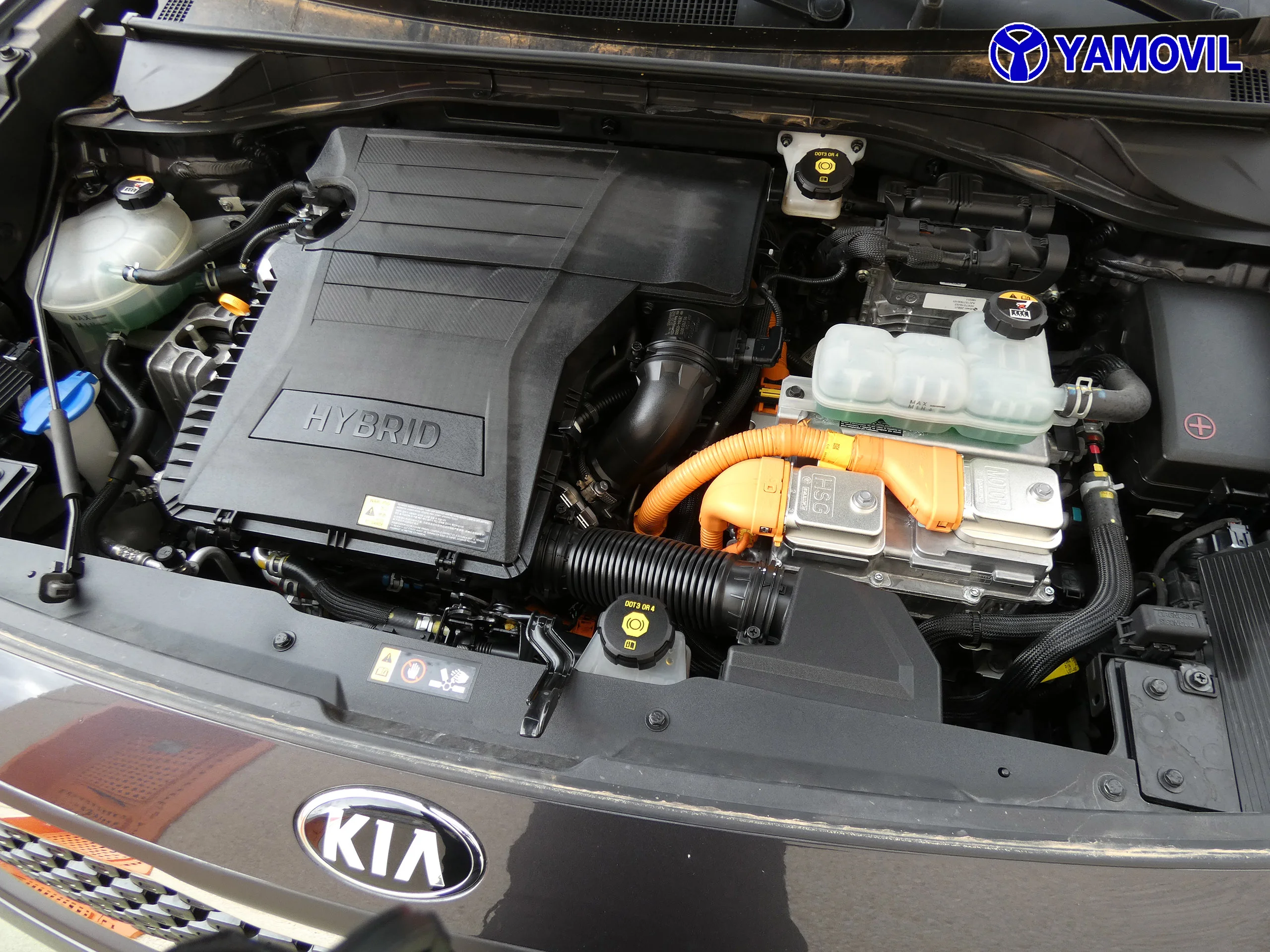 Kia Niro 1.6 DRIVER - Foto 8