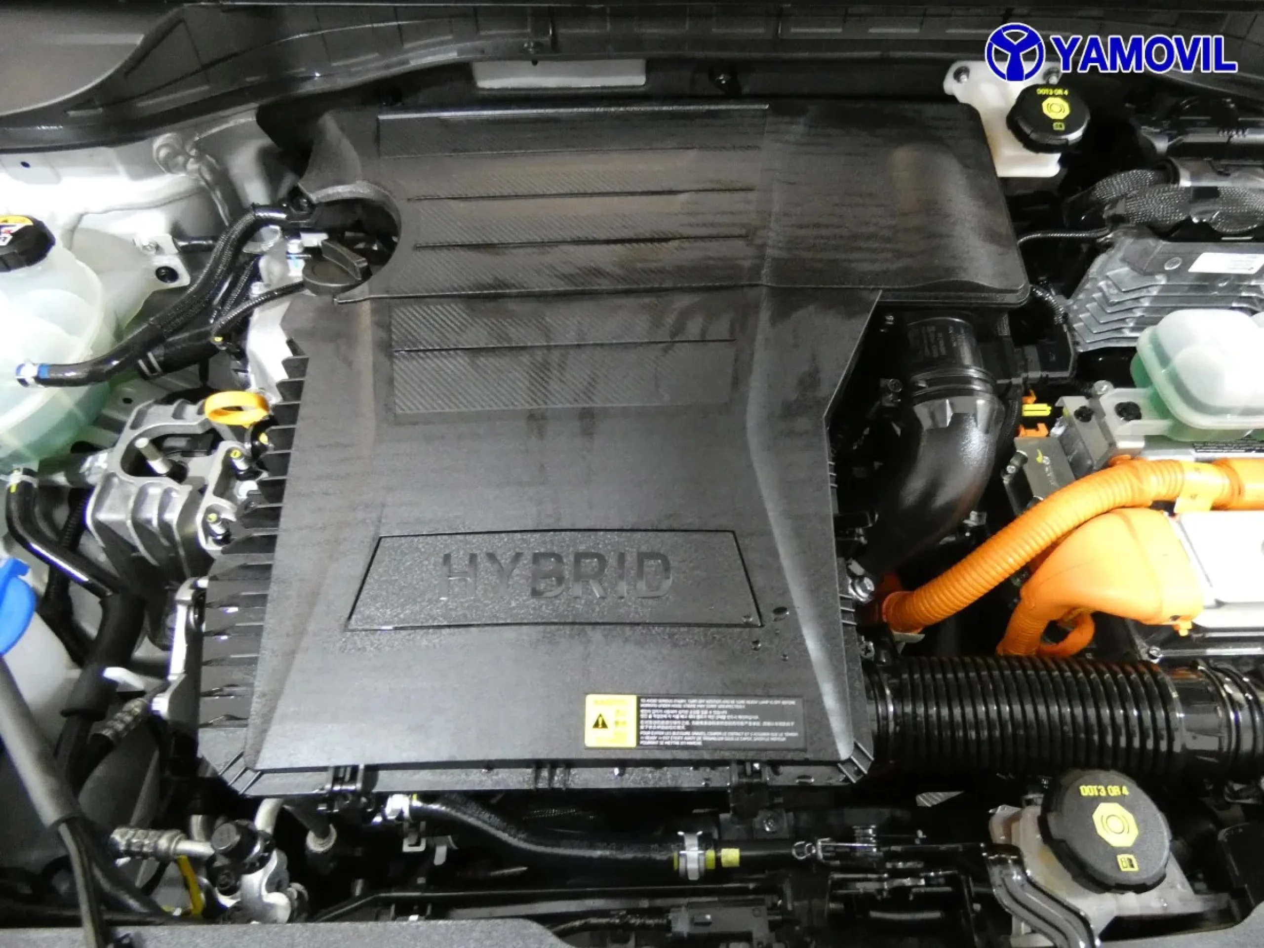 Kia Niro 1.6 GDi HEV Híbrido Drive 104 kW (141 CV) - Foto 8
