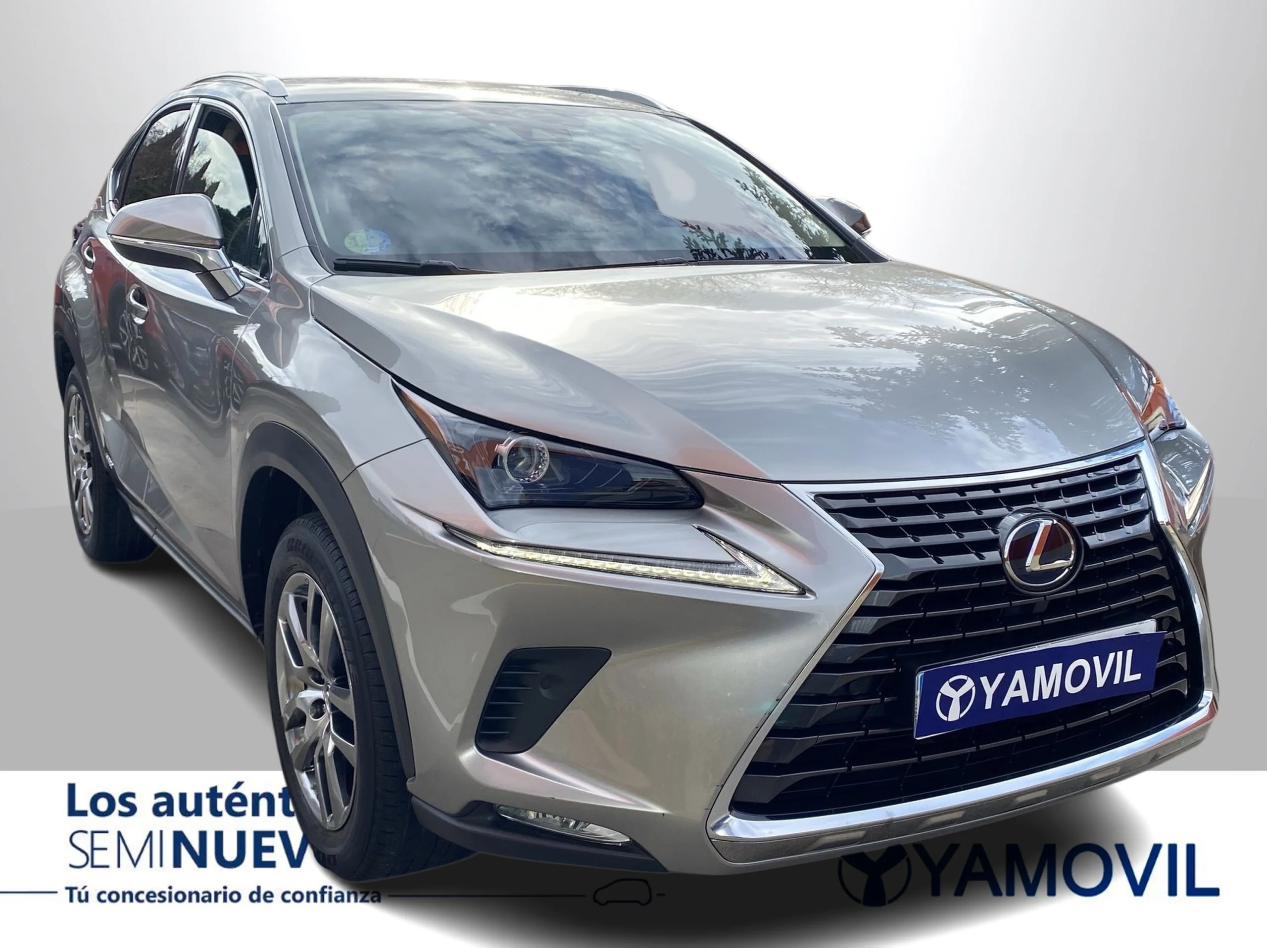 Lexus NX 300h Executive Navigation 4WD 145 kW (197 CV) - Foto 2