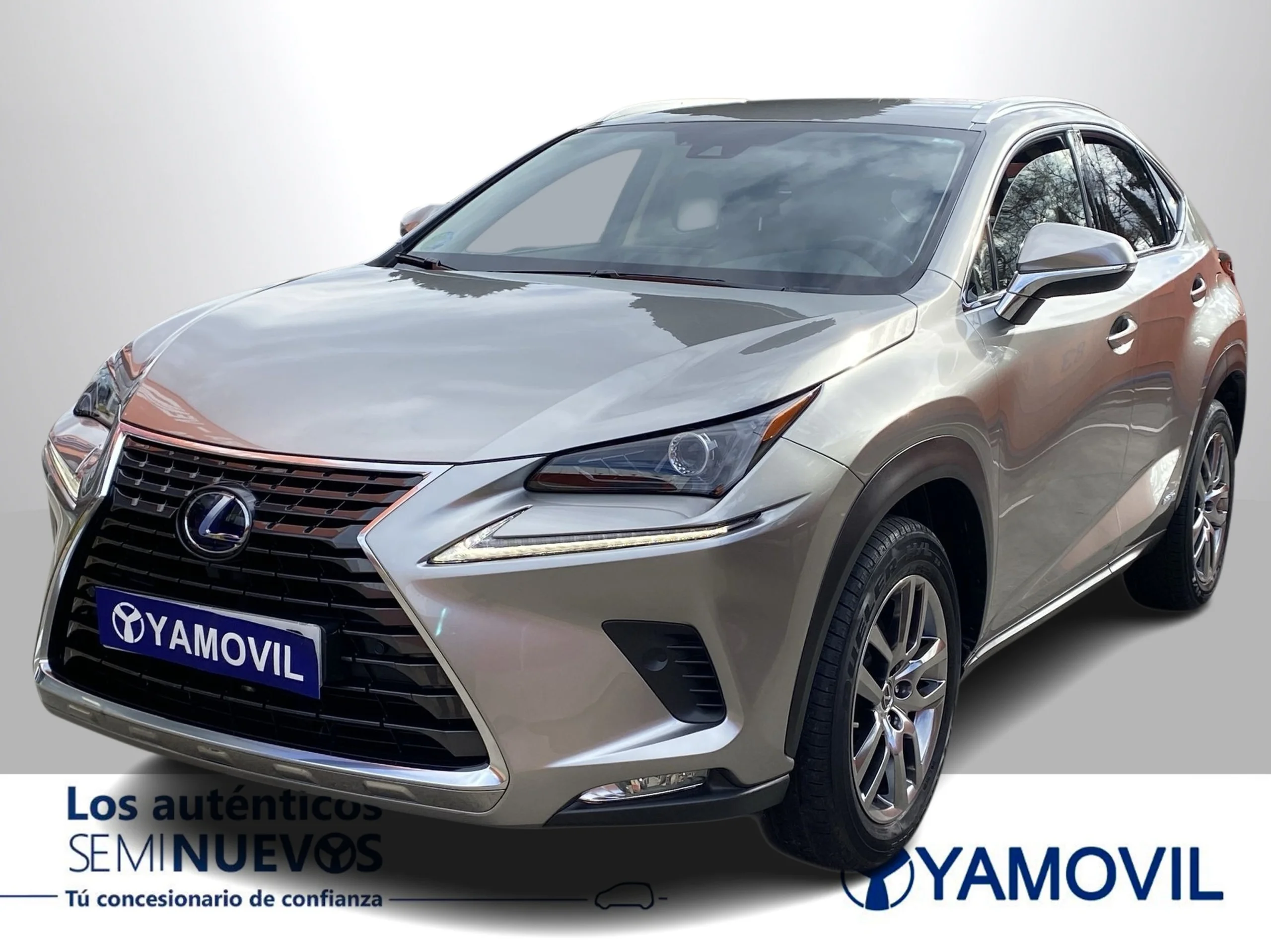 Lexus NX 300h Executive Navigation 4WD 145 kW (197 CV) - Foto 3
