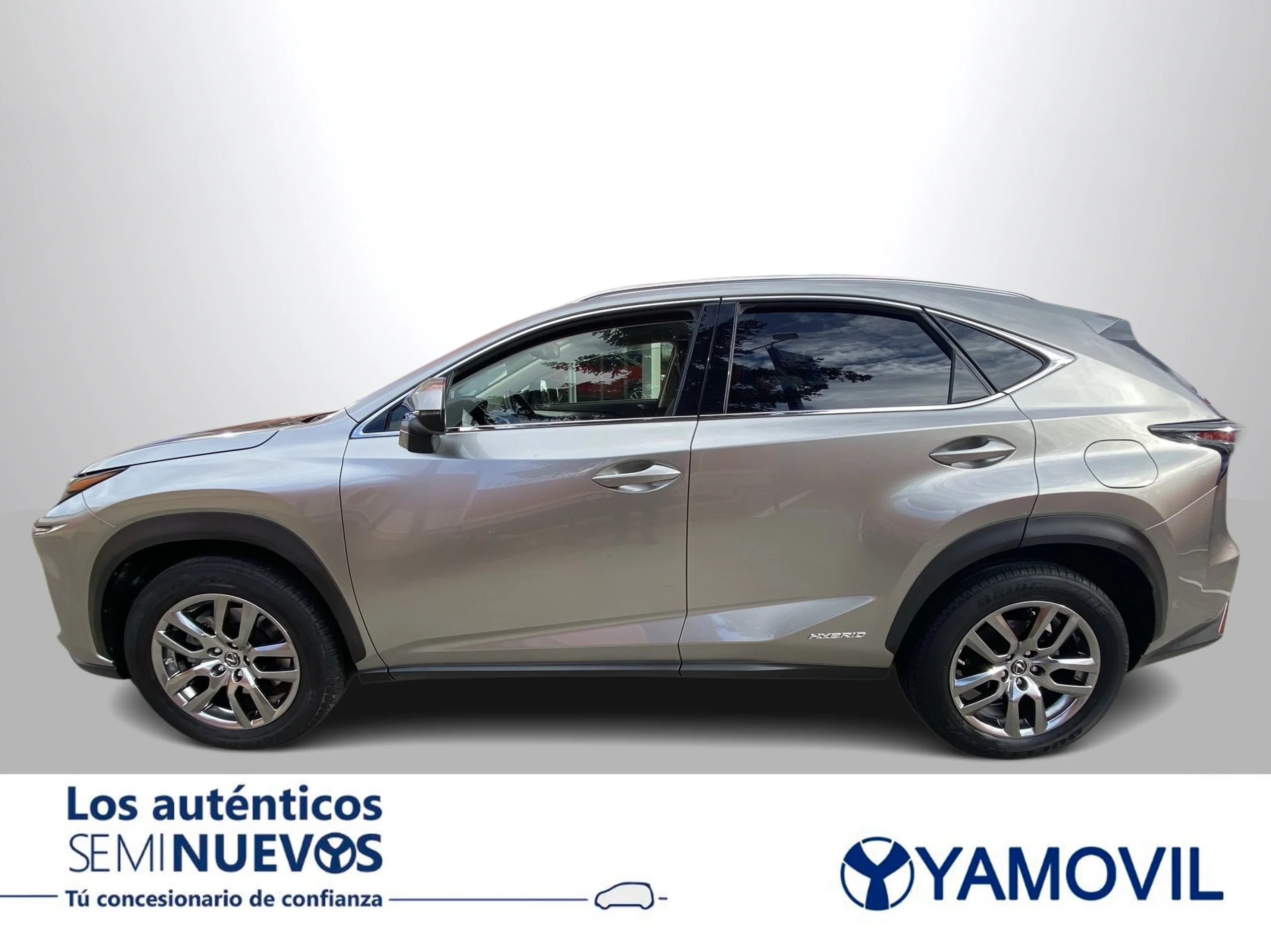 Lexus NX 300h Executive Navigation 4WD 145 kW (197 CV) - Foto 4