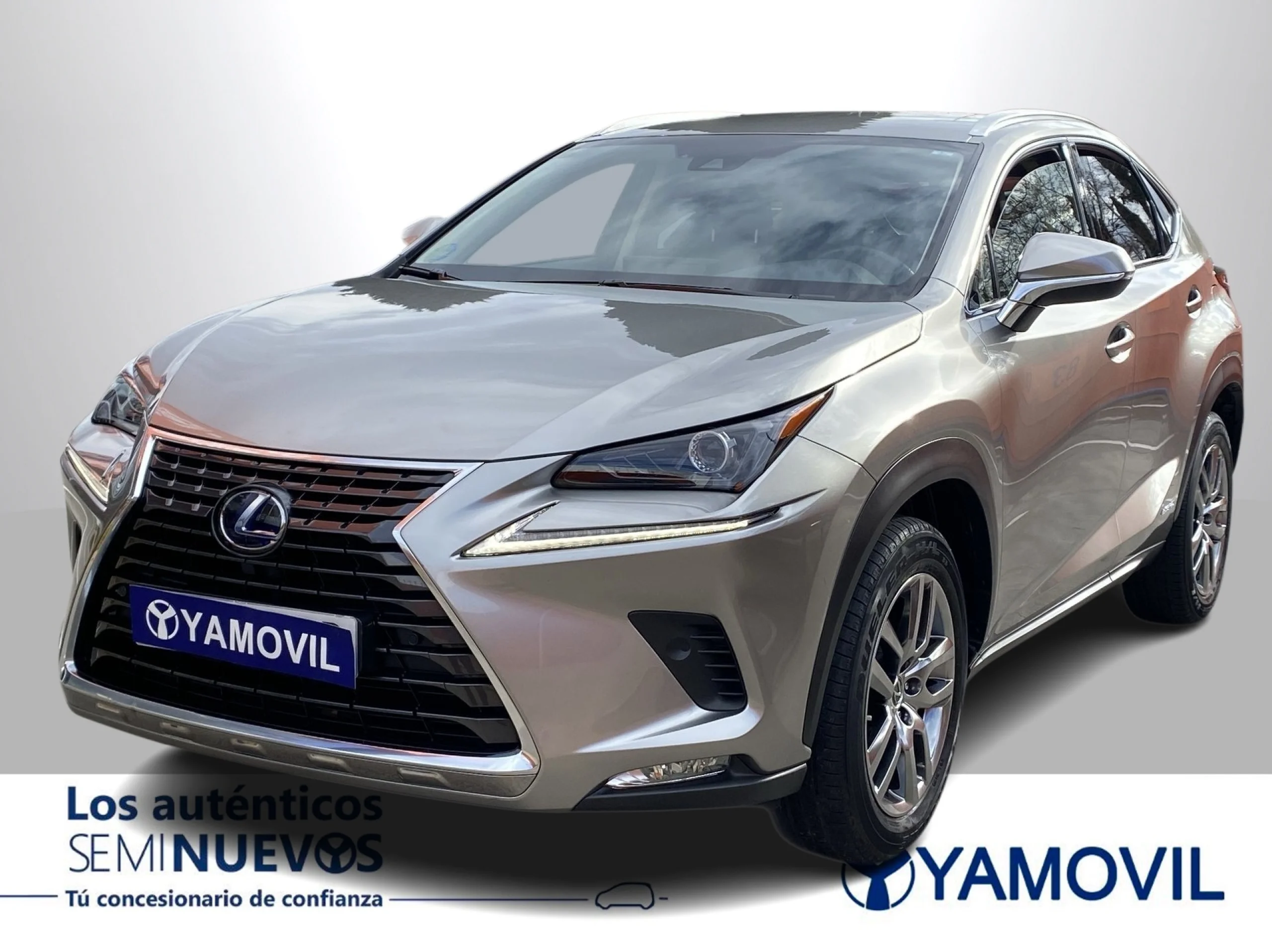 Lexus NX 300h Executive Navigation 4WD 145 kW (197 CV) - Foto 1