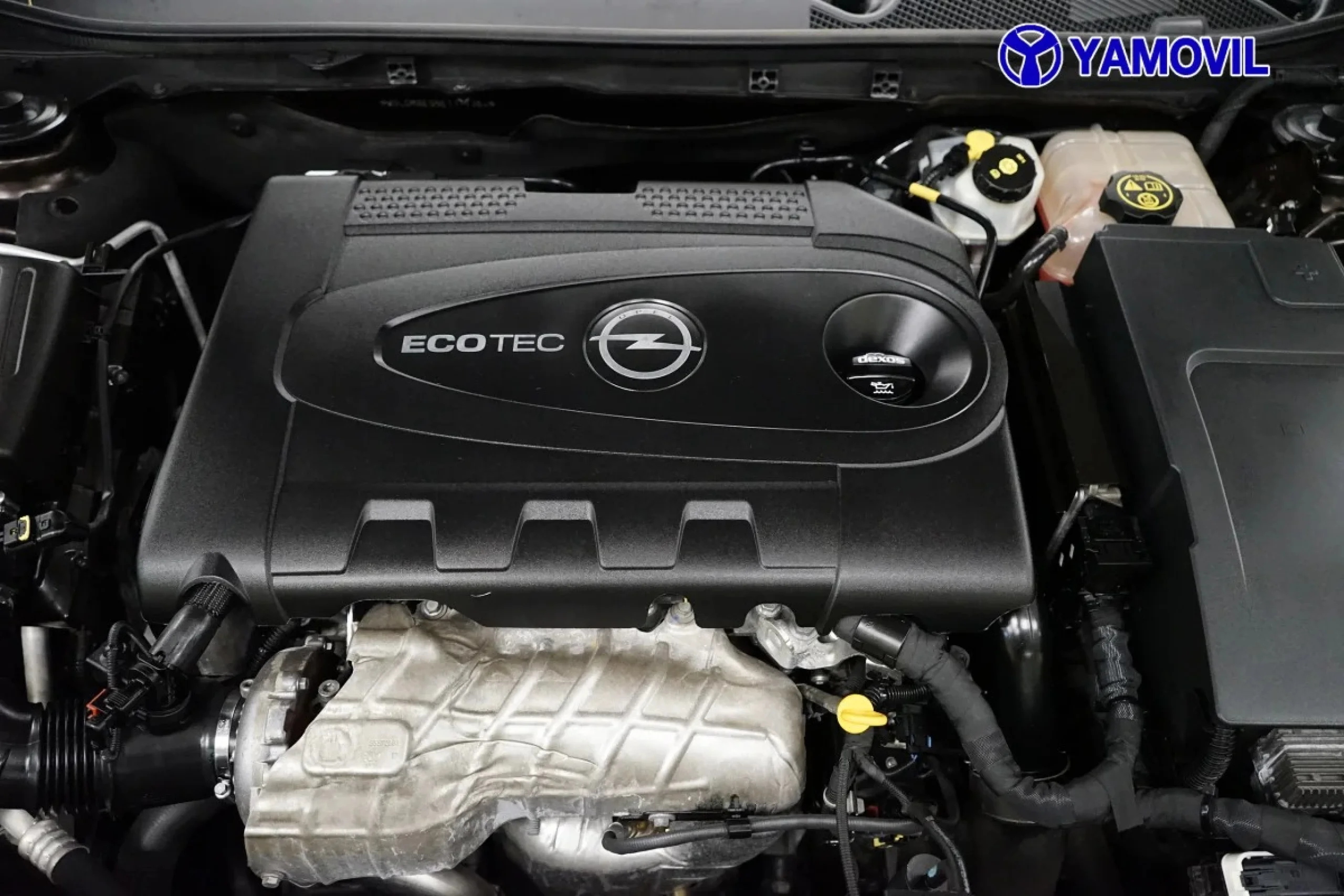Opel Insignia Sports Tourer 2.0 CDTI ecoFlex SANDS Business 103 kW (140 CV) - Foto 8
