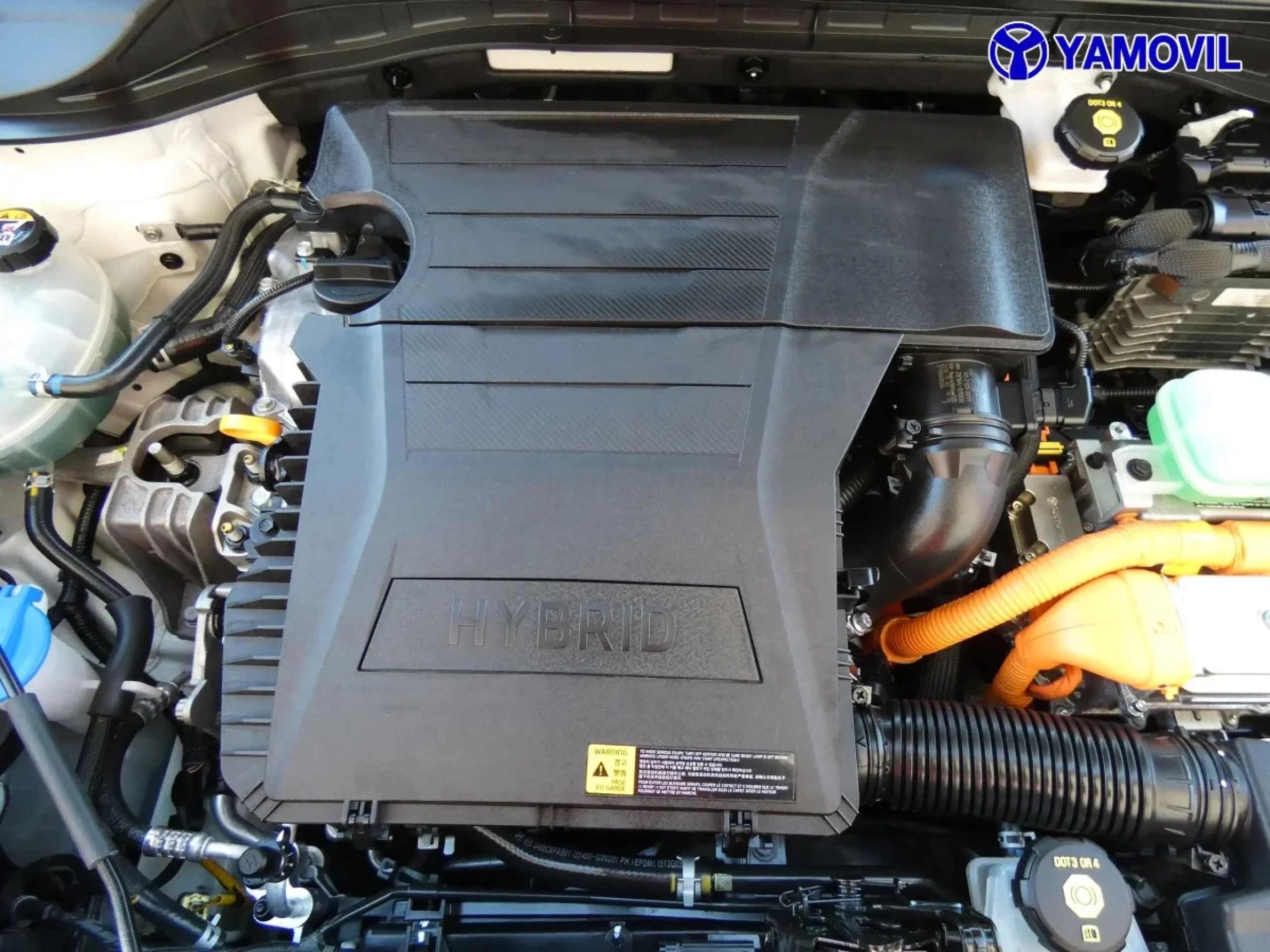 Kia Niro 1.6 GDi HEV Híbrido Drive 104 kW (141 CV) - Foto 8