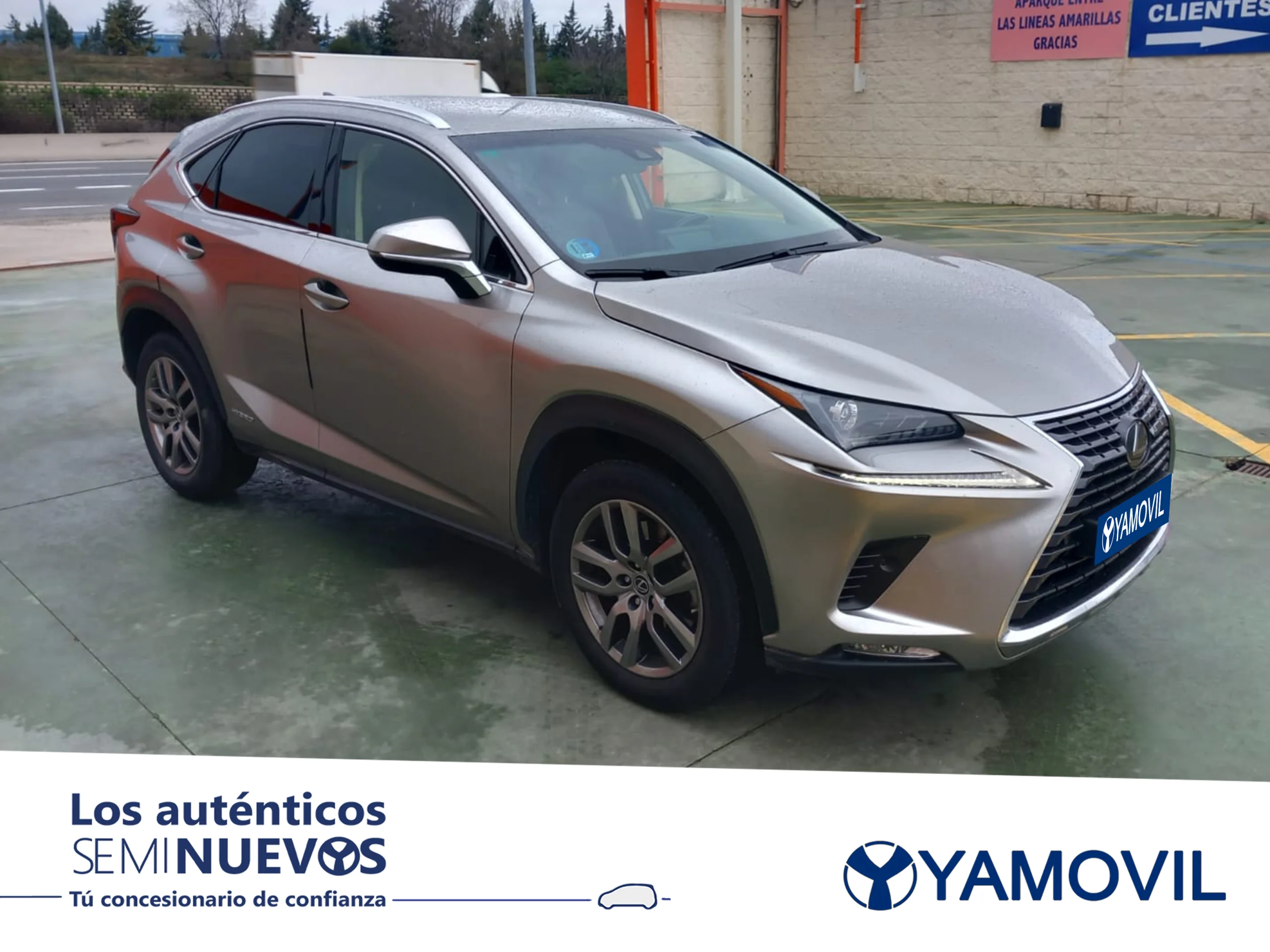 Lexus NX 300h Executive Navigation 4WD 145 kW (197 CV) - Foto 3