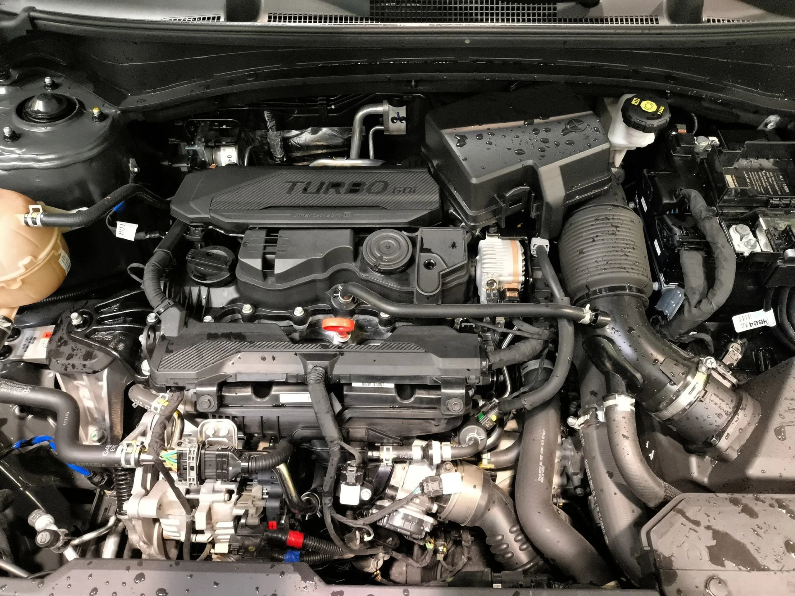 Kia Sportage 1.6 T-GDi MHEV Tech 4x2 112 kW (150 CV) - Foto 22