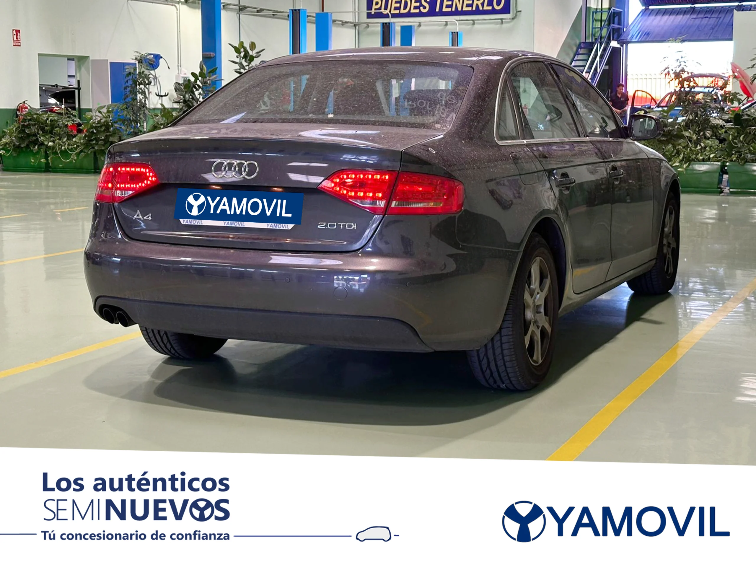 Audi A4 2.0 TDI DPF 105 kW (143 CV) multitronic - Foto 2