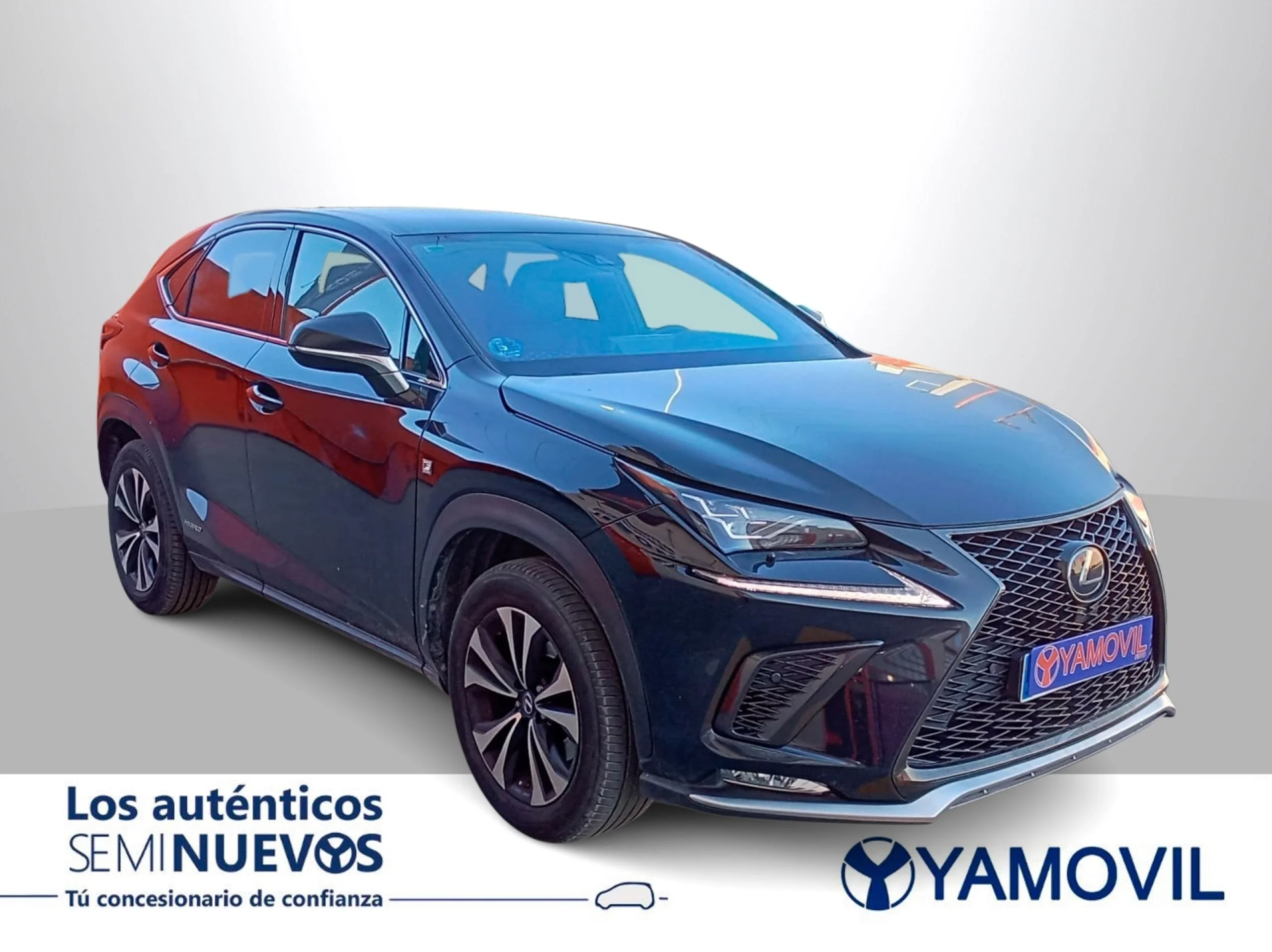 Lexus NX 300h Sport Edition 2WD 145 kW (197 CV) - Foto 3