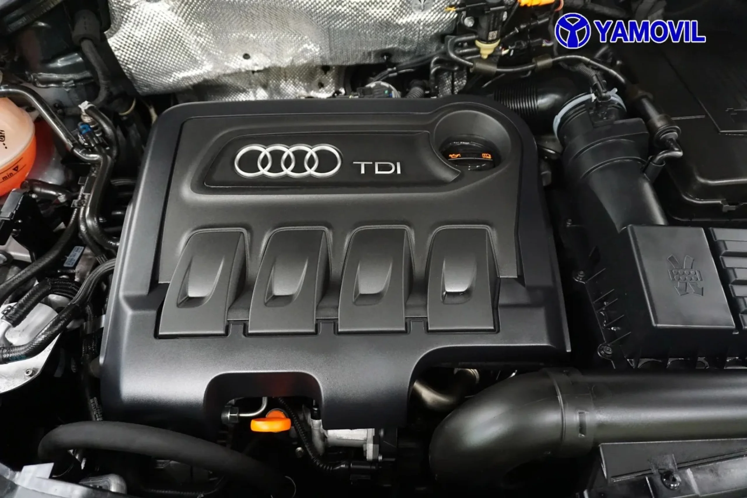Audi Q3 Ambition 2.0 TDI quattro 130 kW (177 CV) S tronic - Foto 8