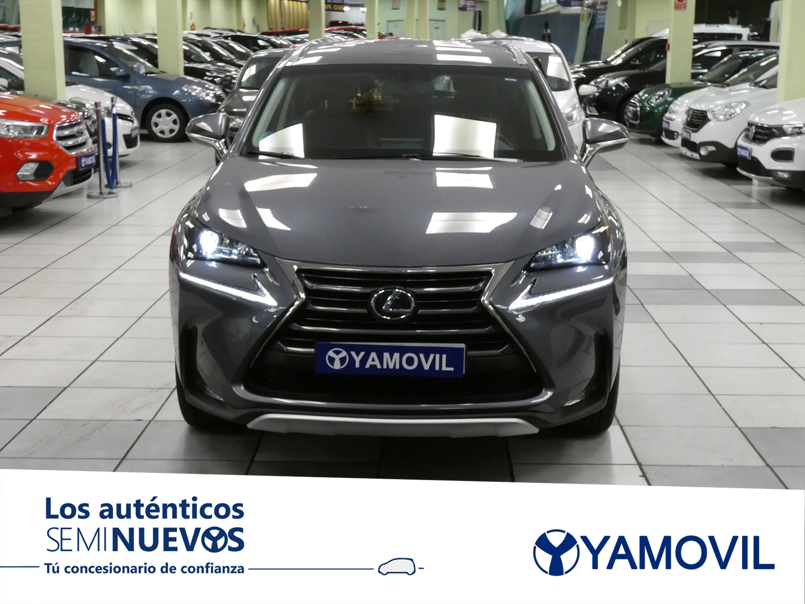 Lexus NX 300h 2.5 EXECUTIVE 4WD NAVIBOX 5P - Foto 2