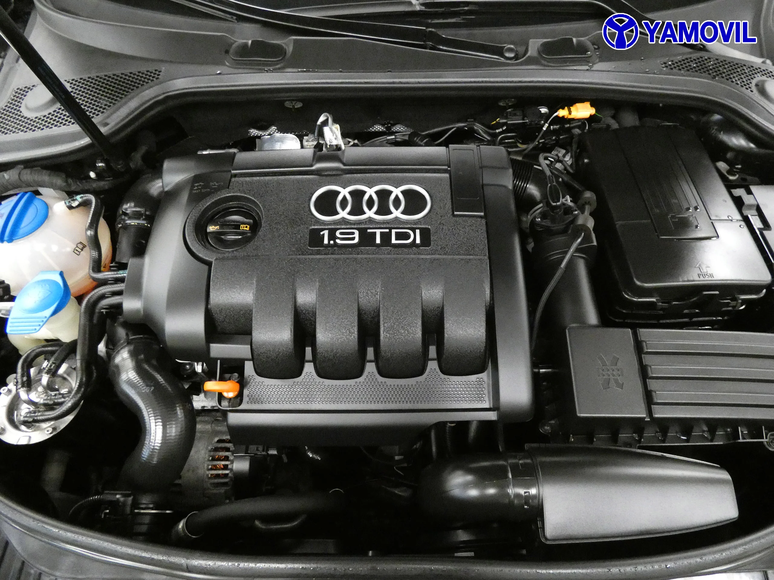 Audi A3 SPORTBACK 1.9 TDI AMBITION 5P - Foto 8