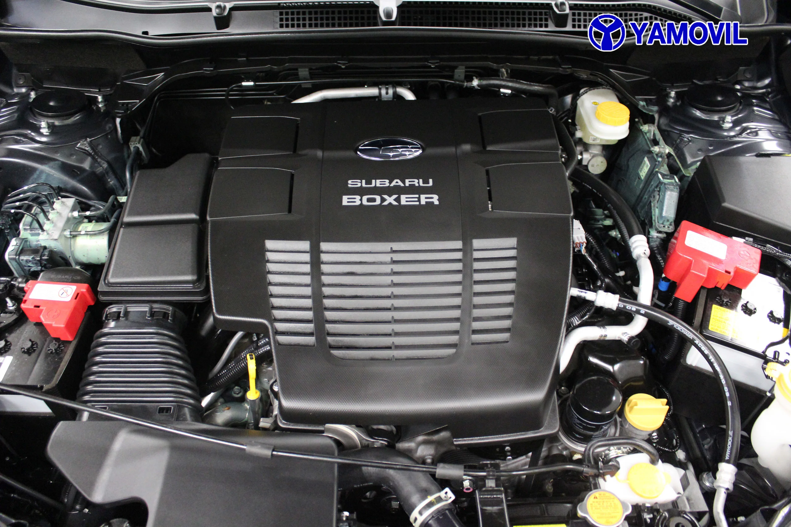 Subaru Forester 2.0i Hybrid Executive Plus CVT 110 kW (150 CV) - Foto 9