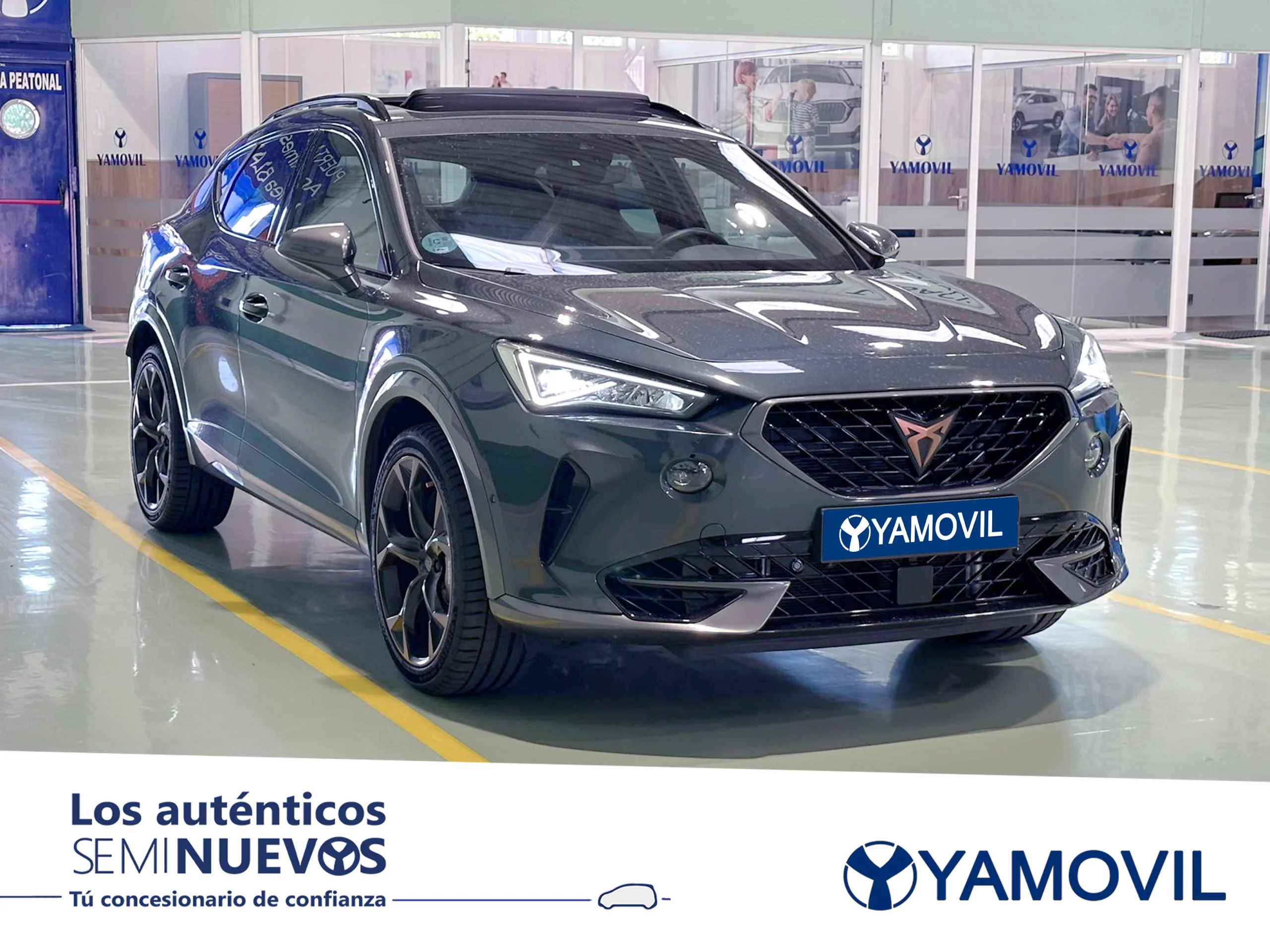 Cupra Formentor 2.0 TSI VZ 4Drive DSG 228 kW (310 CV) - Foto 3