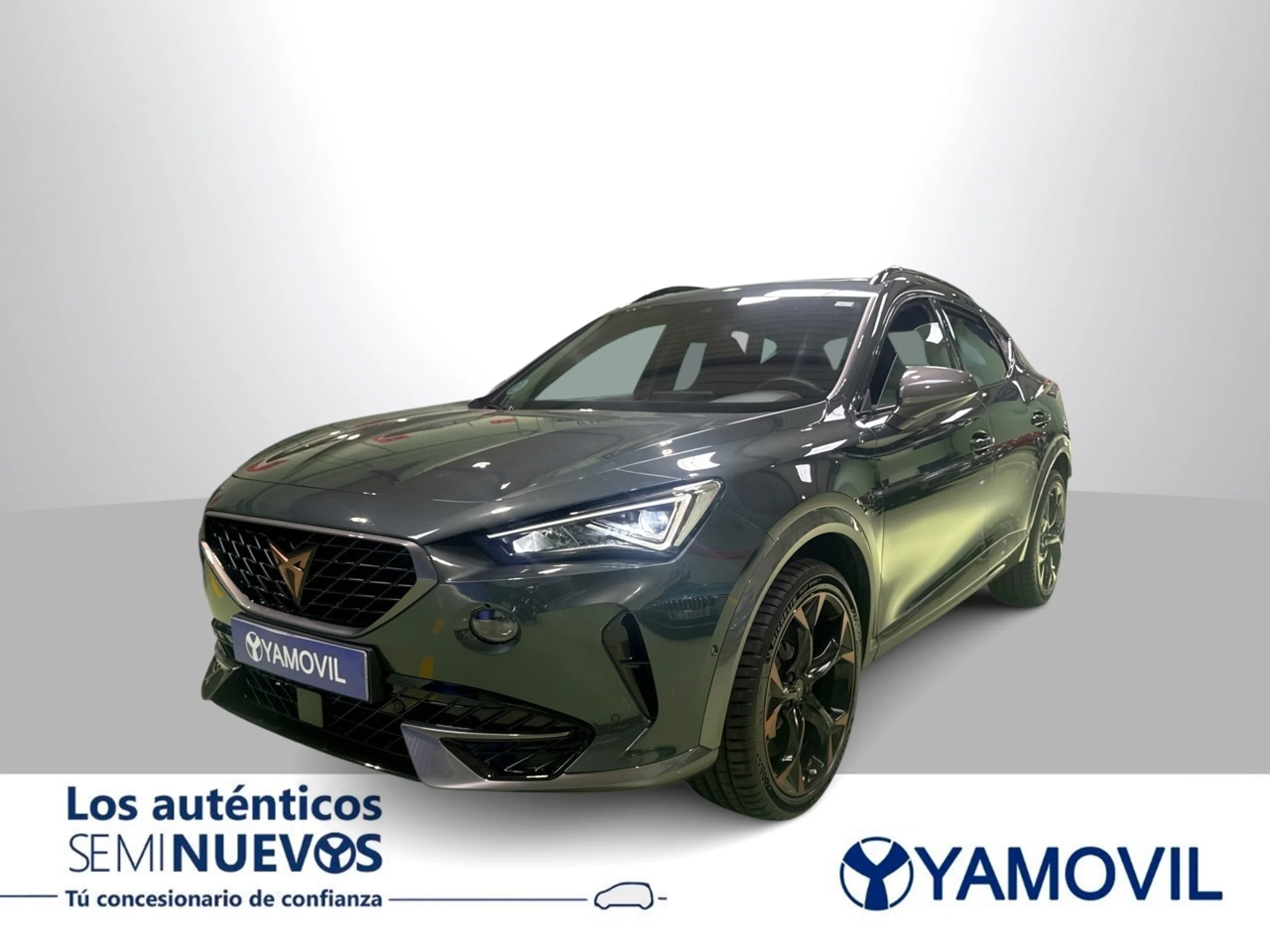 Cupra Formentor 2.0 TSI VZ 4Drive DSG 228 kW (310 CV) - Foto 1