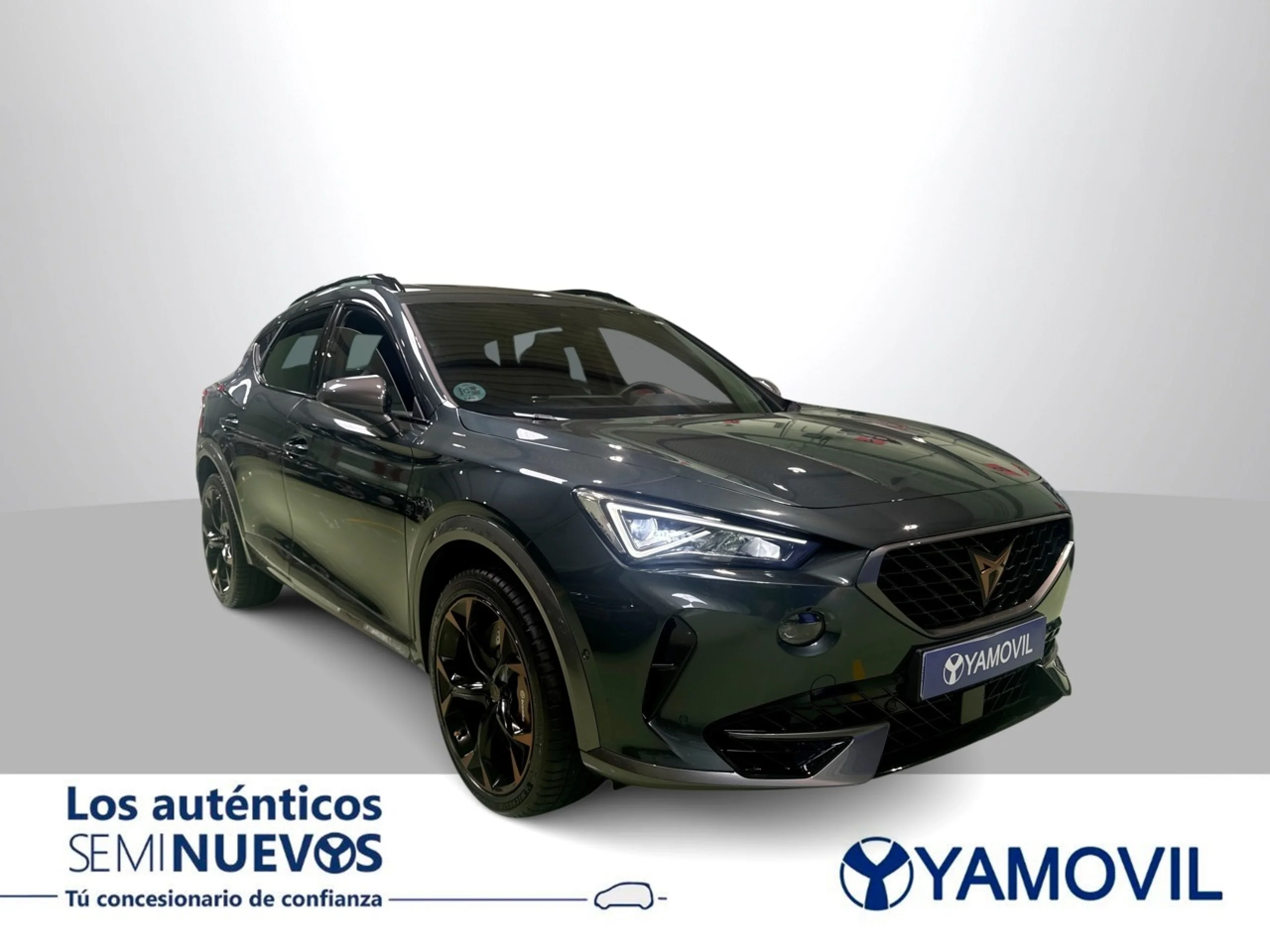 Cupra Formentor 2.0 TSI VZ 4Drive DSG 228 kW (310 CV) - Foto 2