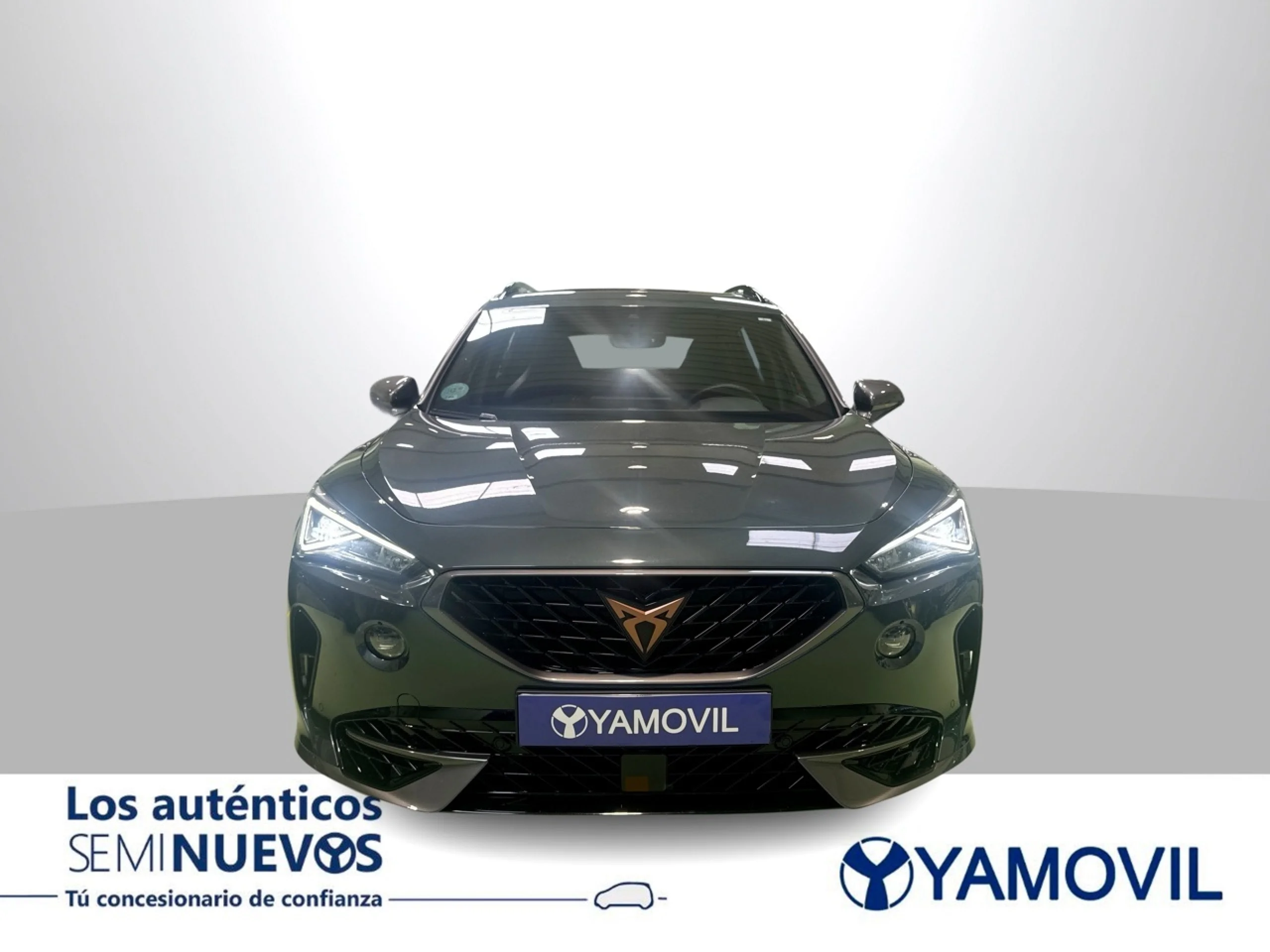 Cupra Formentor 2.0 TSI VZ 4Drive DSG 228 kW (310 CV) - Foto 3