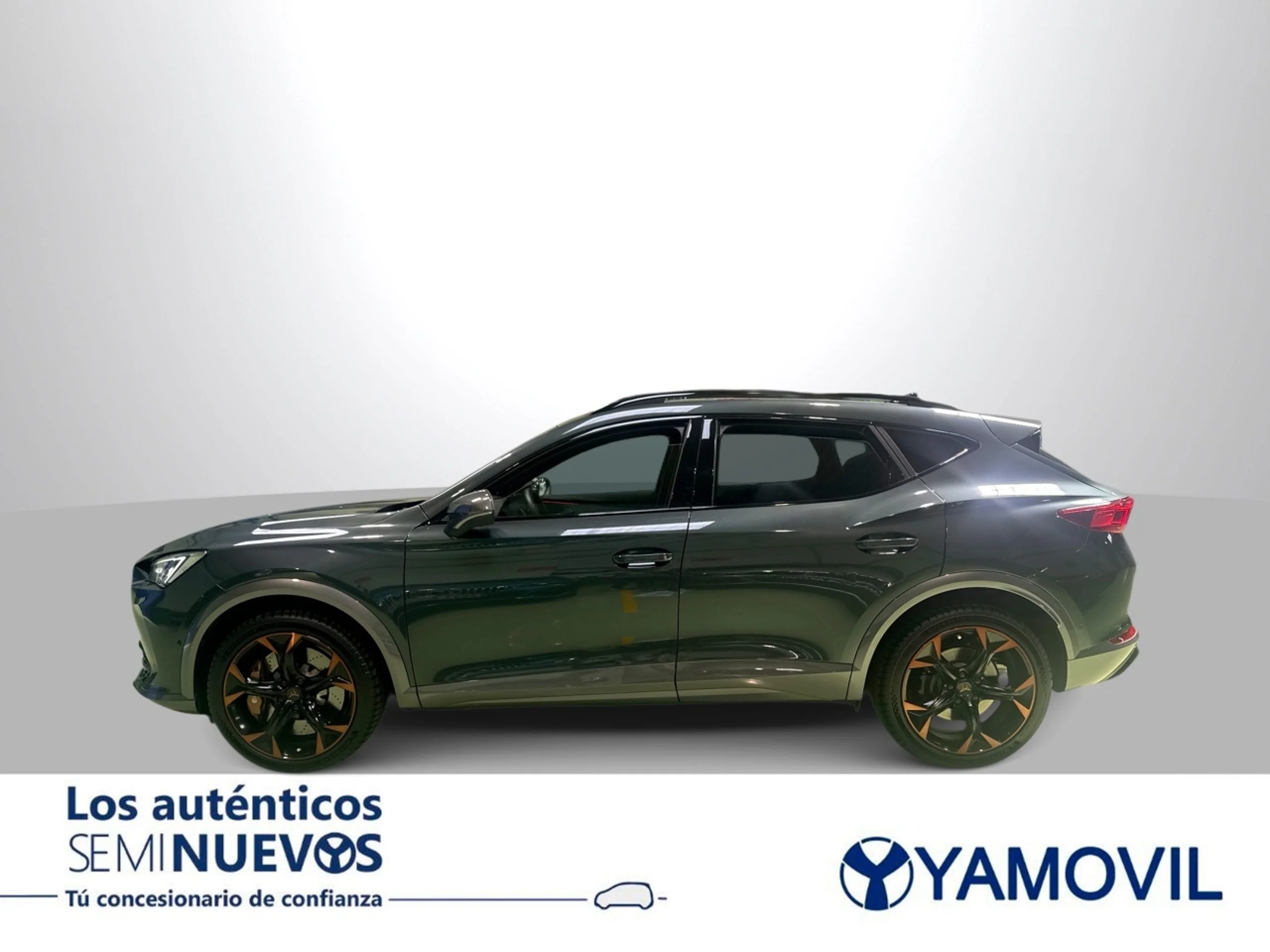 Cupra Formentor 2.0 TSI VZ 4Drive DSG 228 kW (310 CV) - Foto 4