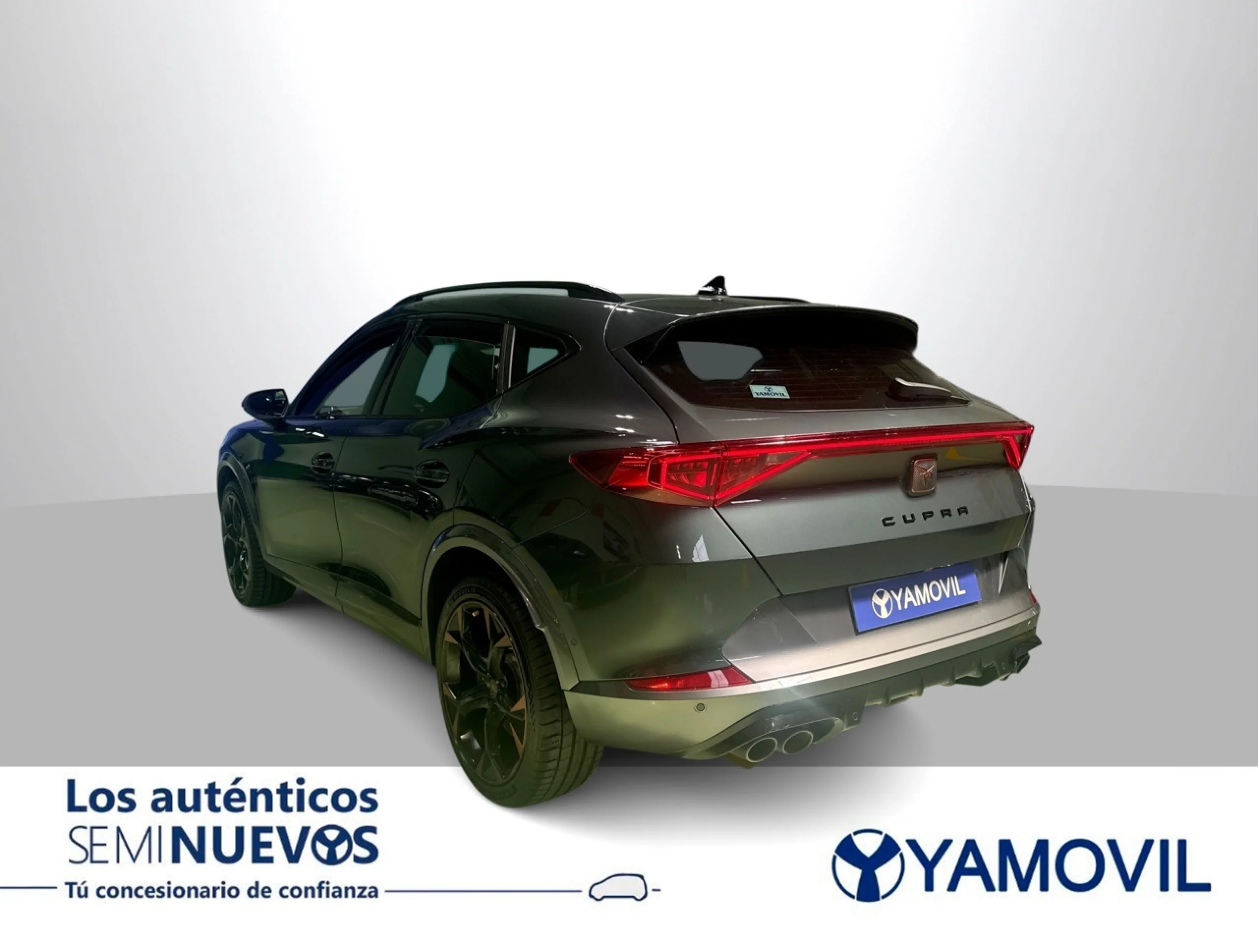 Cupra Formentor 2.0 TSI VZ 4Drive DSG 228 kW (310 CV) - Foto 5