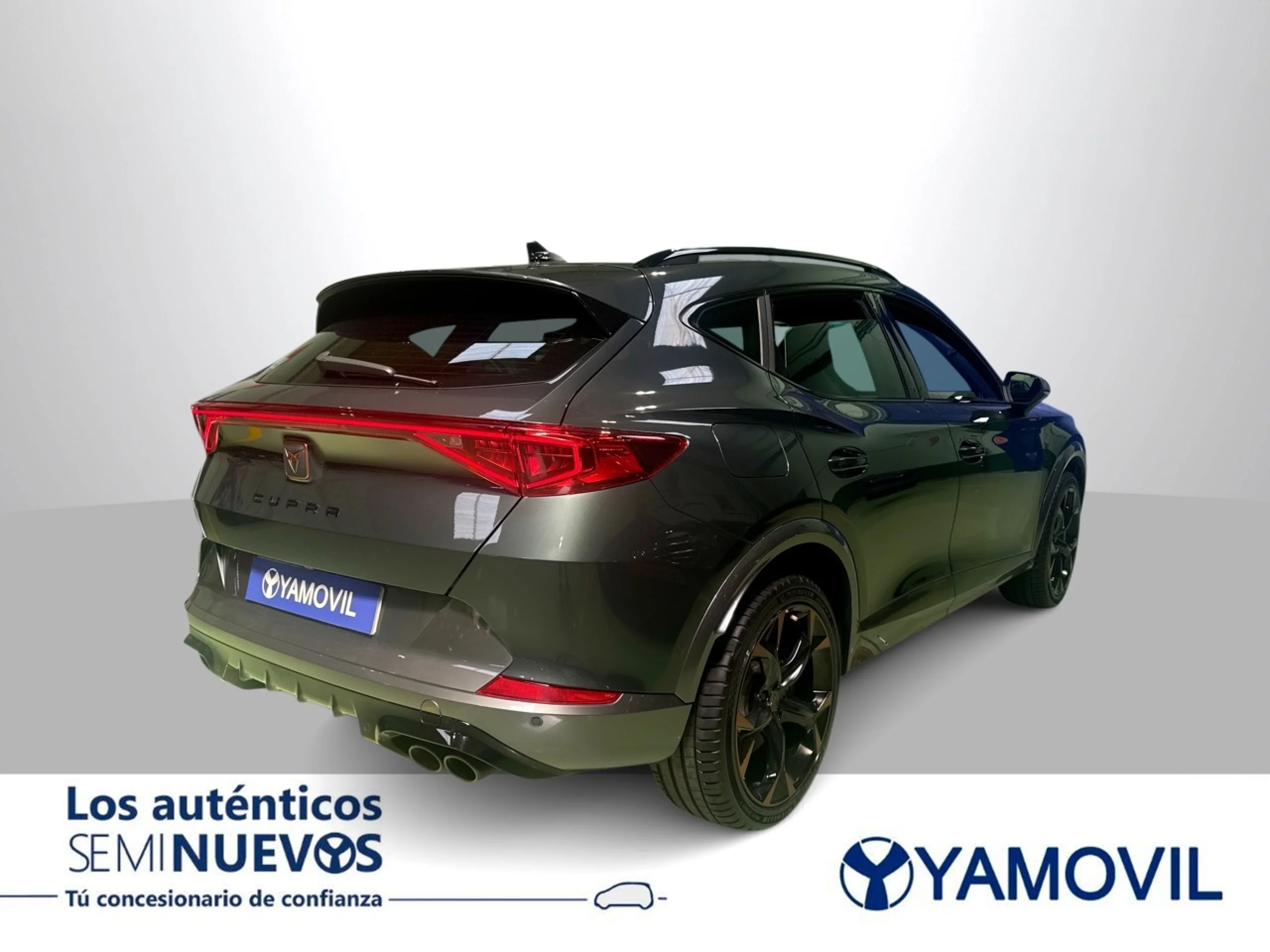 Cupra Formentor 2.0 TSI VZ 4Drive DSG 228 kW (310 CV) - Foto 6