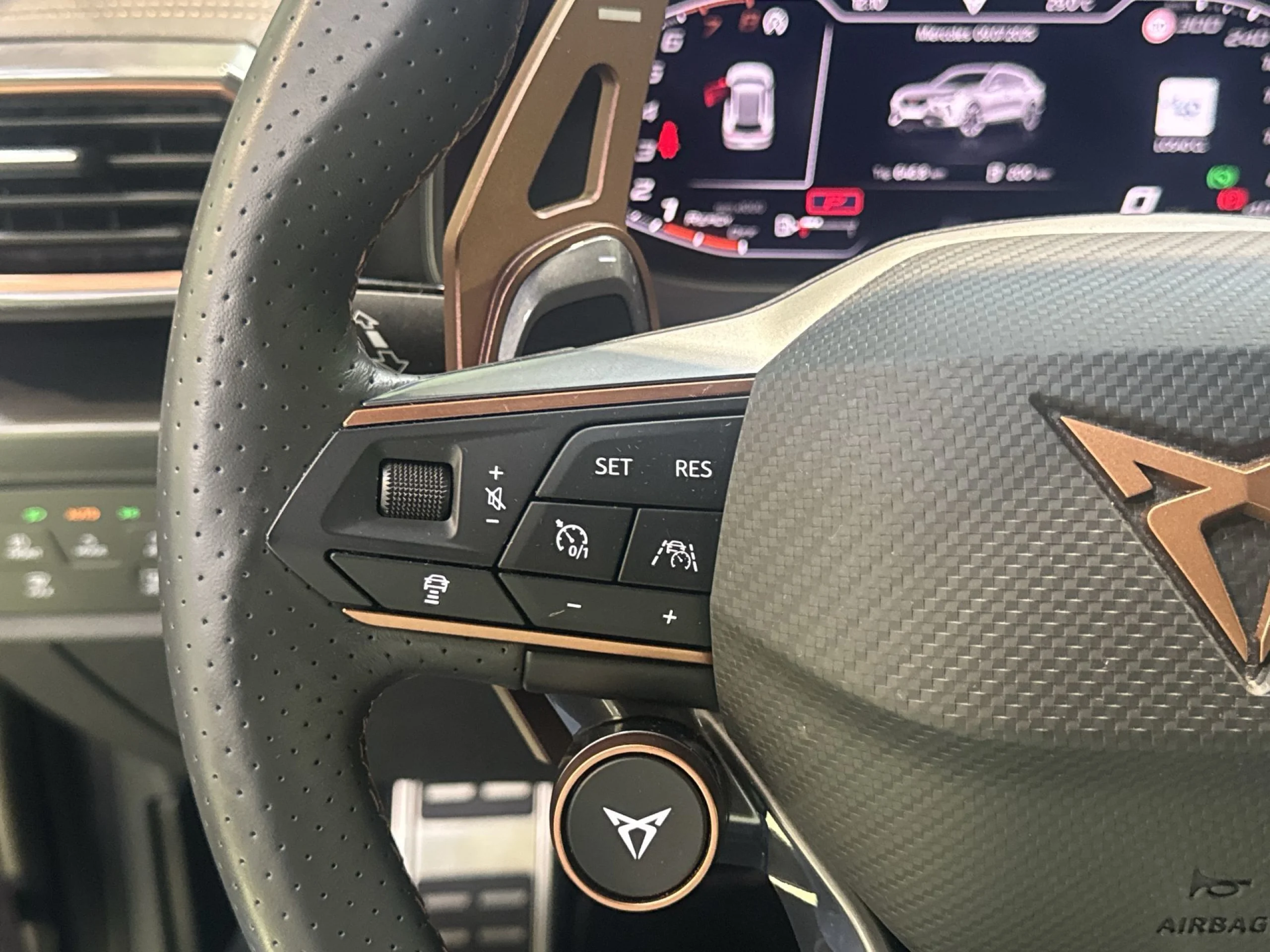 Cupra Formentor 2.0 TSI VZ 4Drive DSG 228 kW (310 CV) - Foto 14