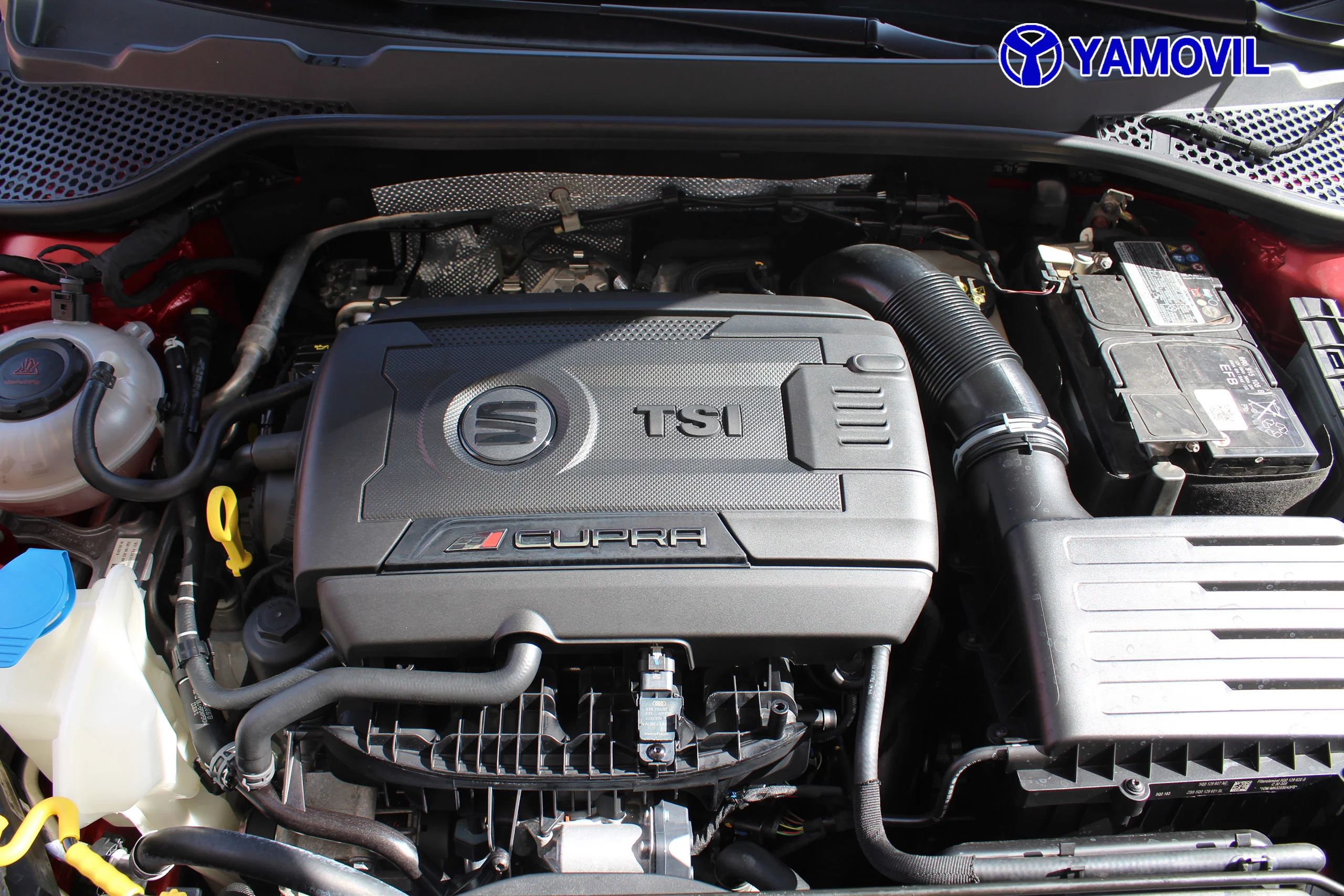 Seat Leon 2.0 TSI SANDS Cupra DSG 213 kW (290 CV) - Foto 8