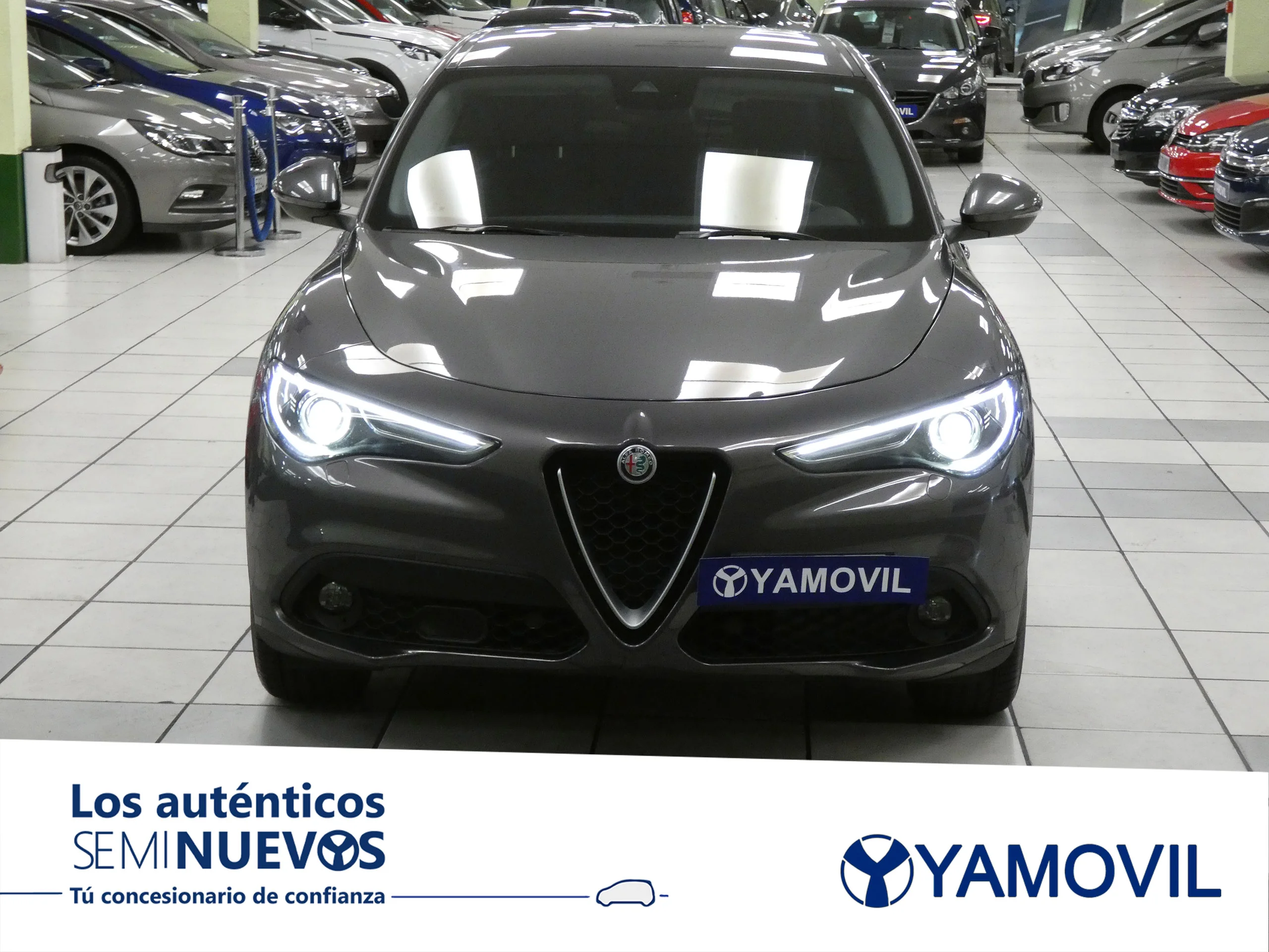 Alfa Romeo Stelvio 2.2 D EXECUTIVE RWD 5P - Foto 2