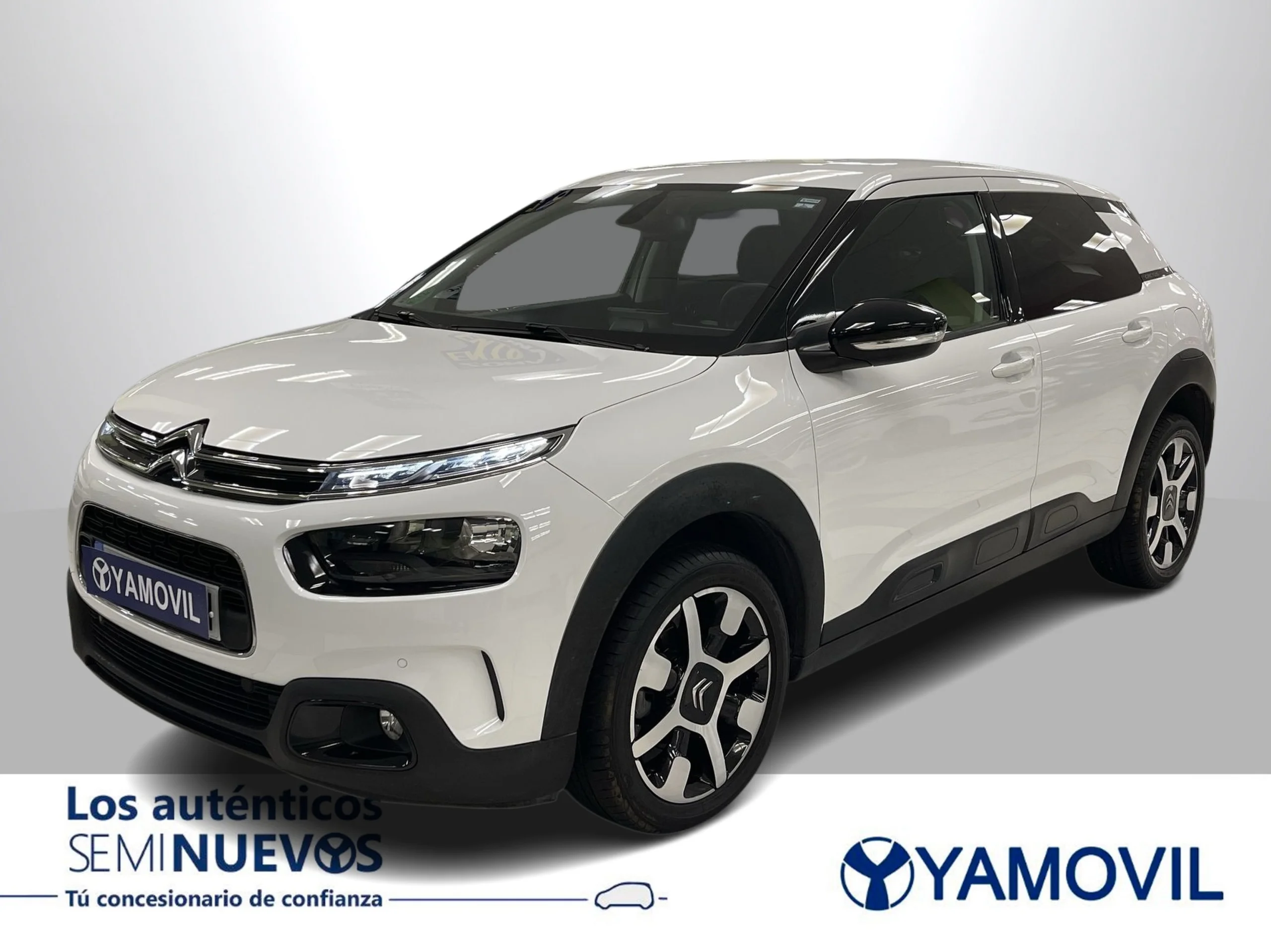 Citroen C4 Cactus PureTech 110 SANDS Shine EAT6 81 kW (110 CV) - Foto 3