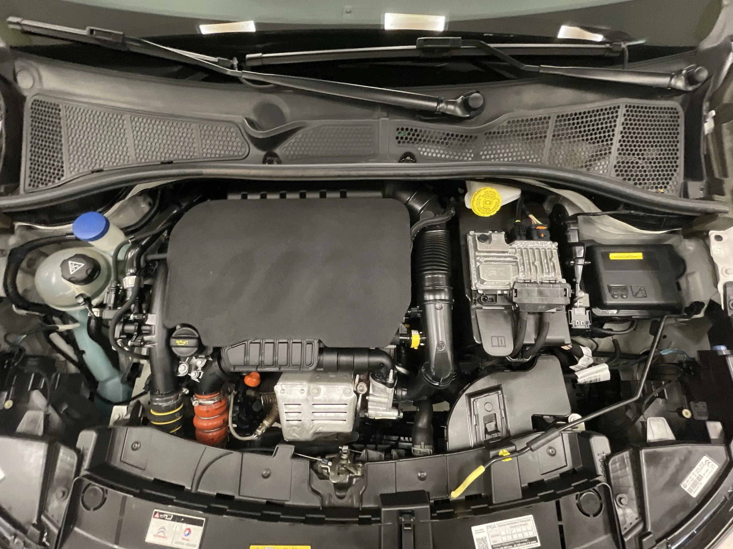 Citroen C4 Cactus PureTech 110 SANDS Shine EAT6 81 kW (110 CV) - Foto 22
