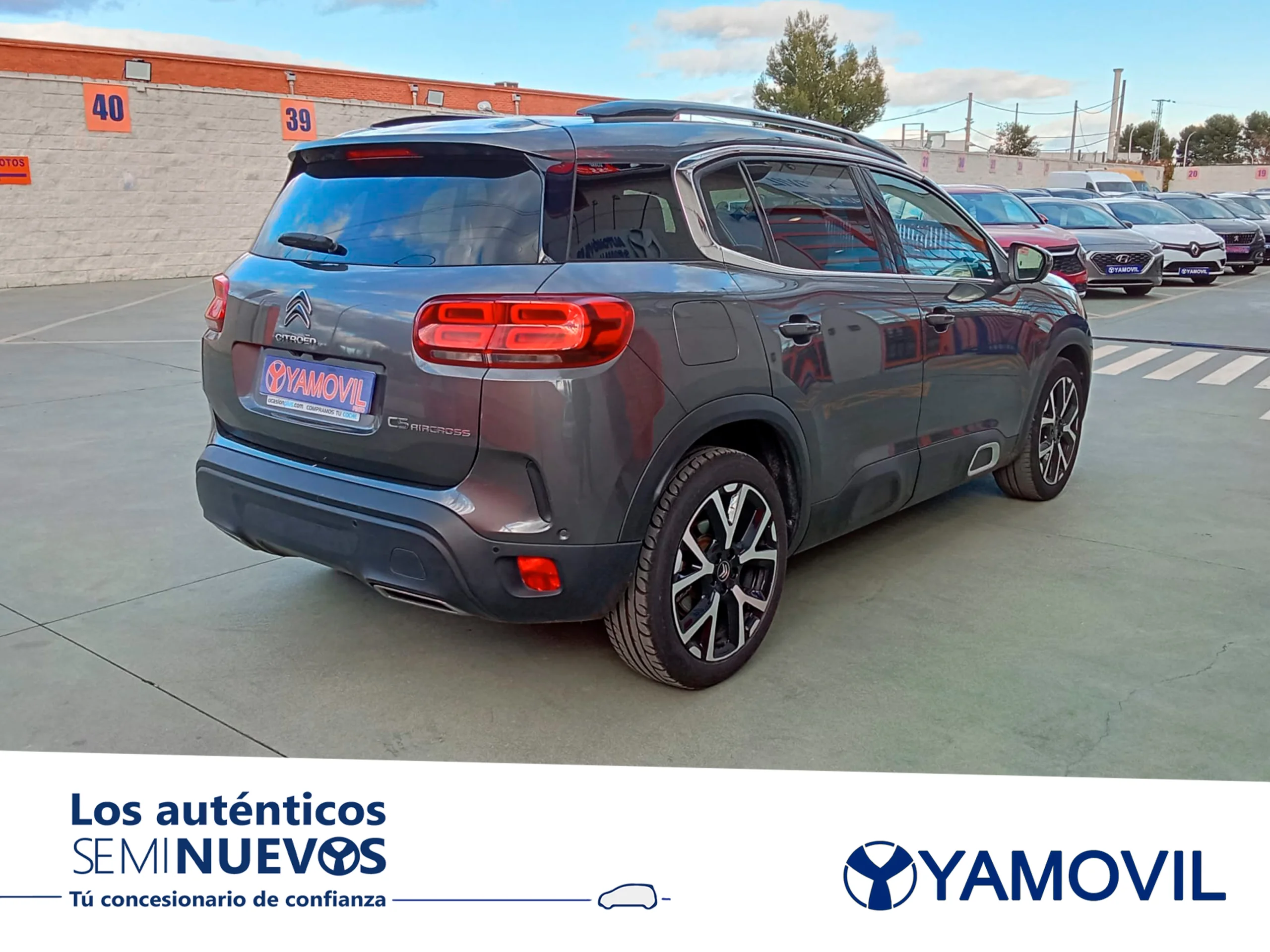 Citroen C5 Aircross BlueHdi 130 SANDS Shine 96 kW (131 CV) - Foto 2