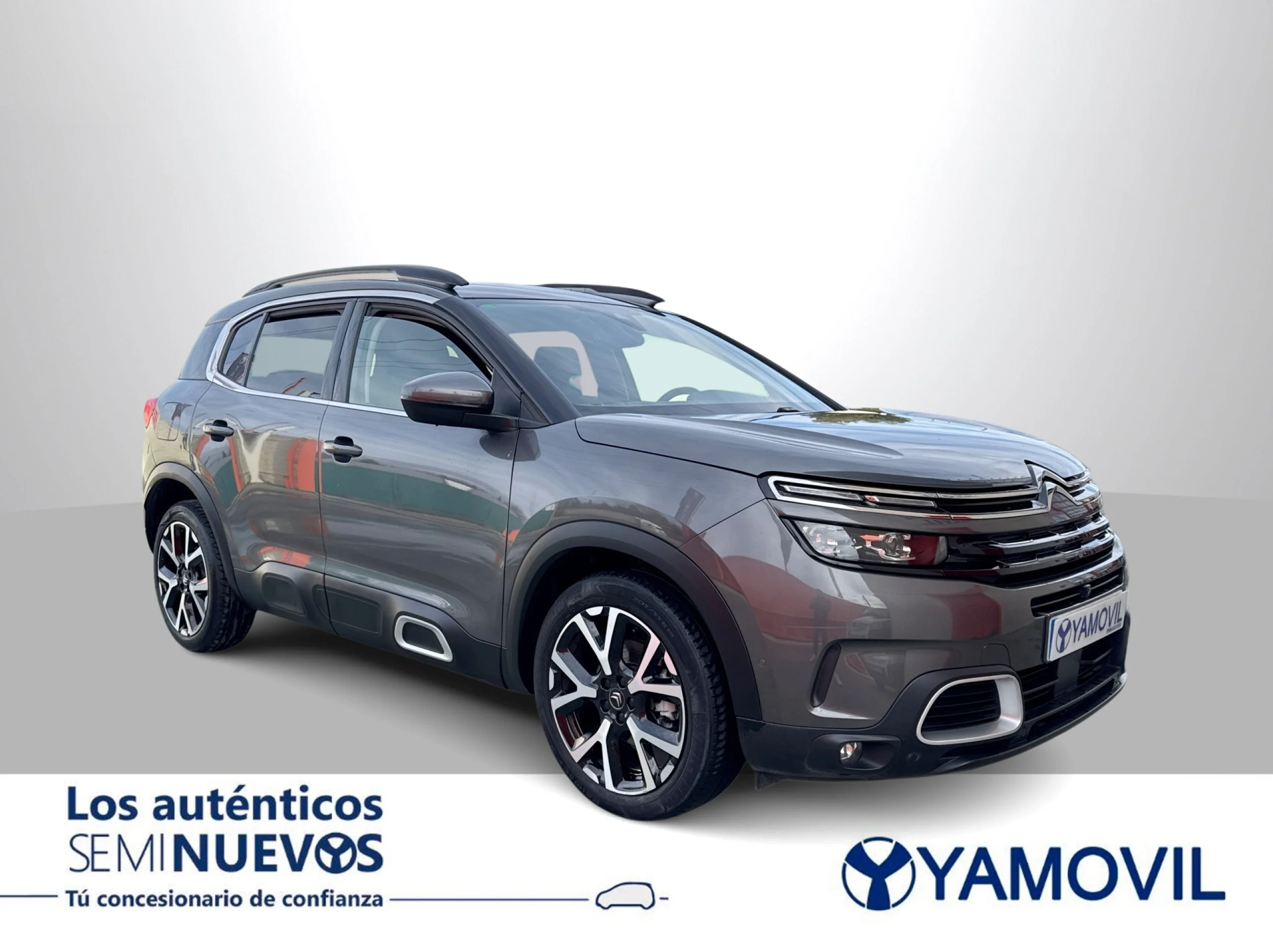 Citroen C5 Aircross BlueHdi 130 SANDS Shine 96 kW (131 CV) - Foto 2