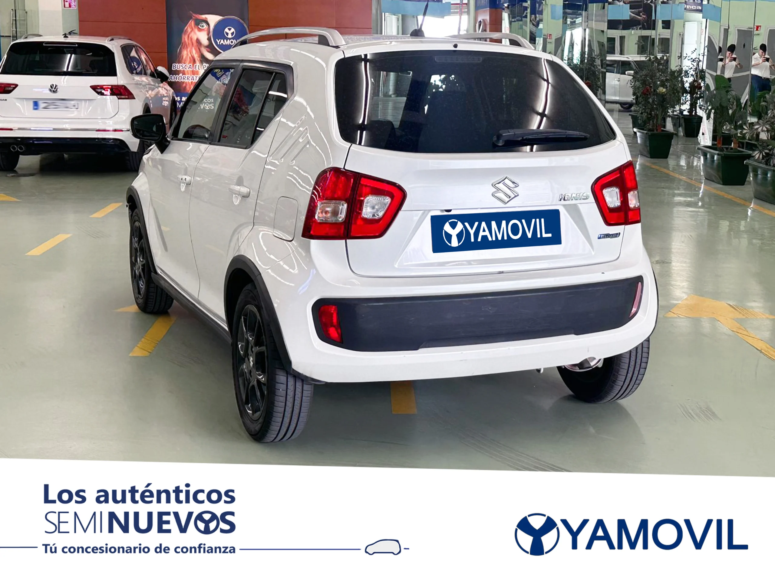 Suzuki Ignis 1.2 Mild Hybrid GLX 4WD 66 kW (90 CV) - Foto 4