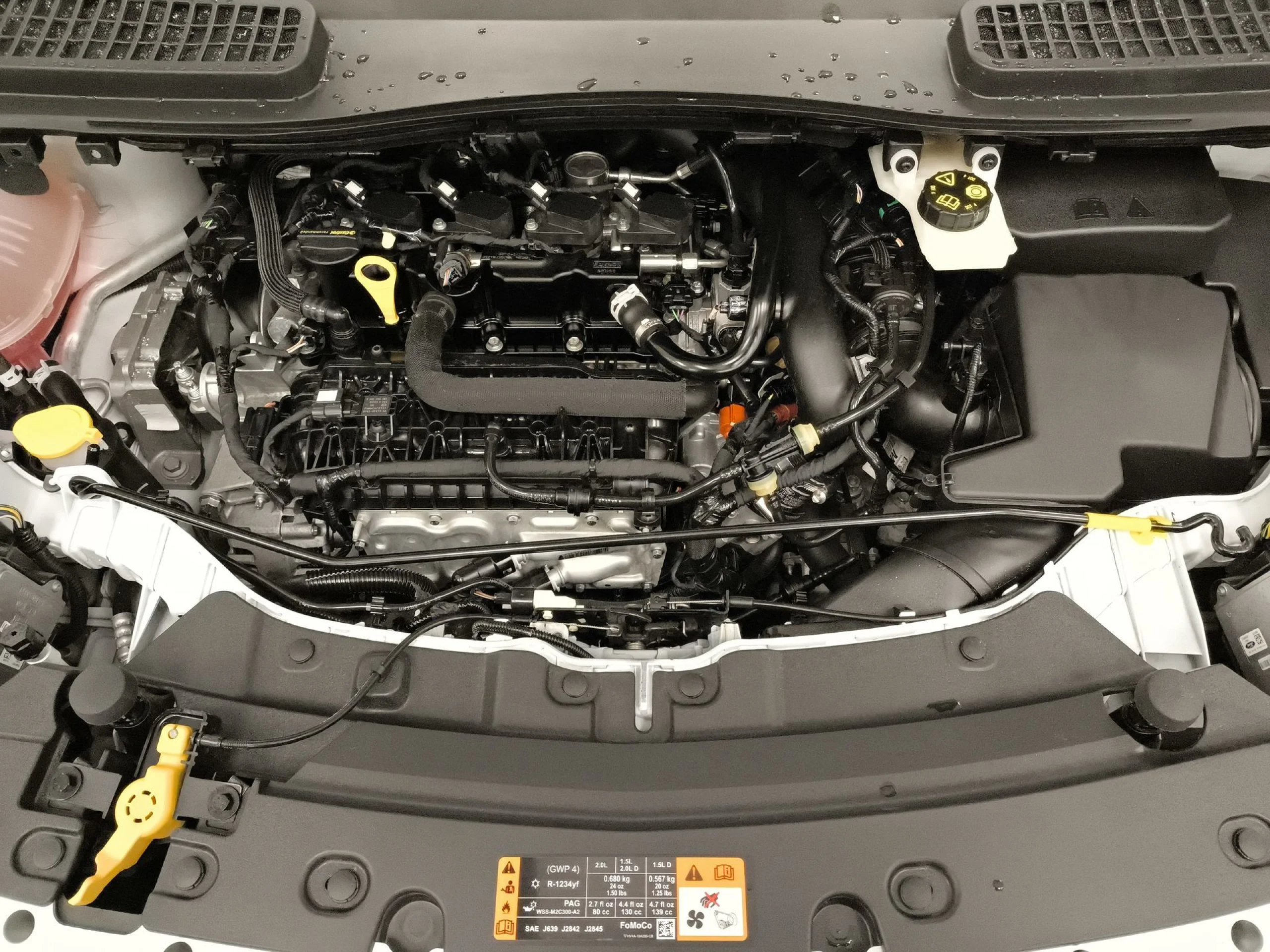 Ford Kuga 1.5 EcoBoost Trend+ 4x2 Auto 110 kW (150 CV) - Foto 21