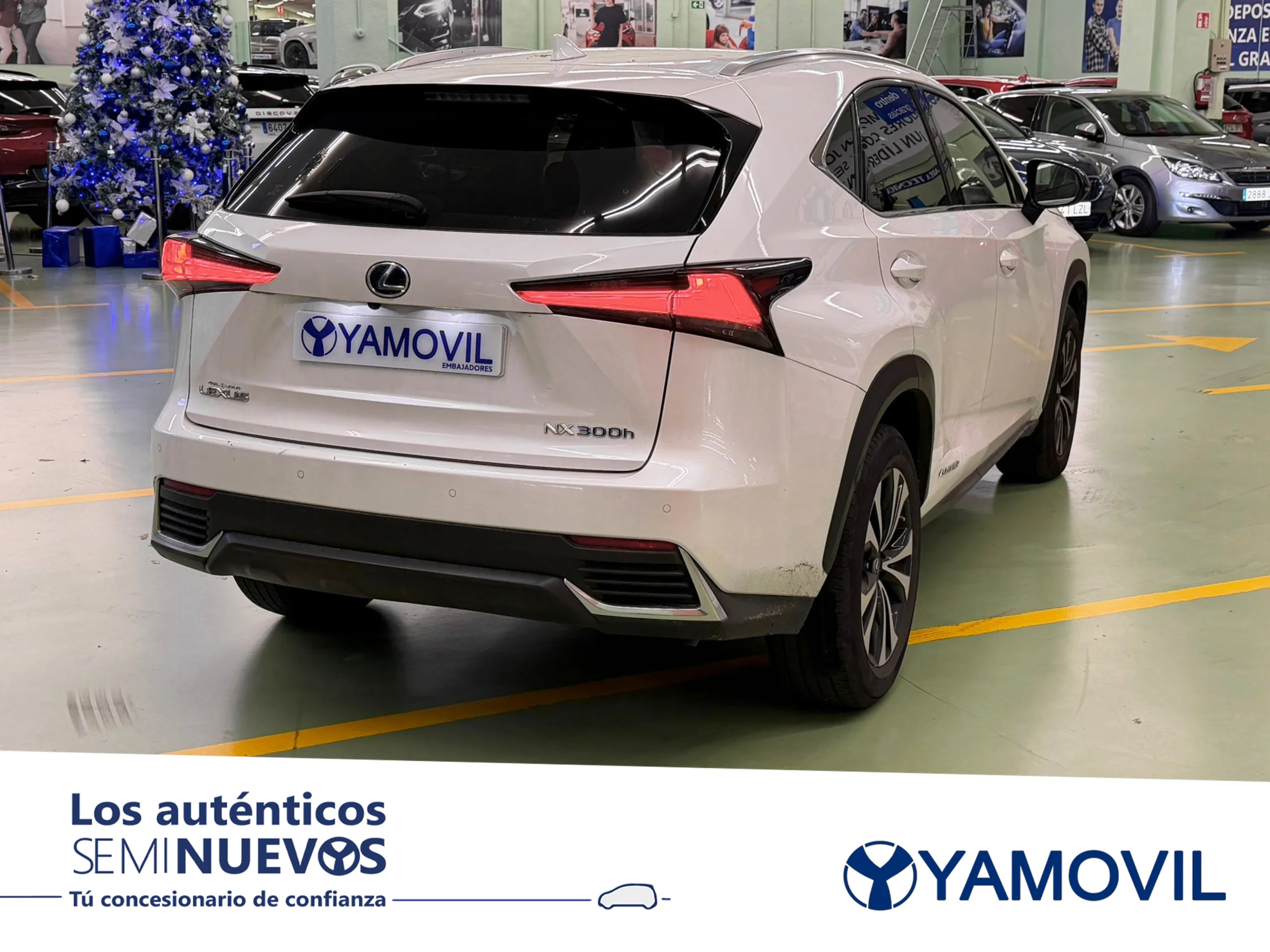 Lexus NX 300h Premium 2WD 145 kW (197 CV) - Foto 2