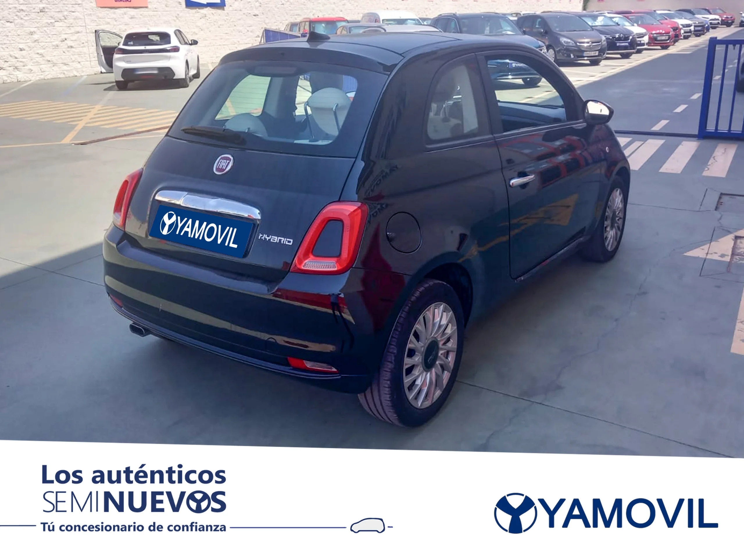 Fiat 500 1.0 6v GSE Lounge 51 kW (70 CV) - Foto 2