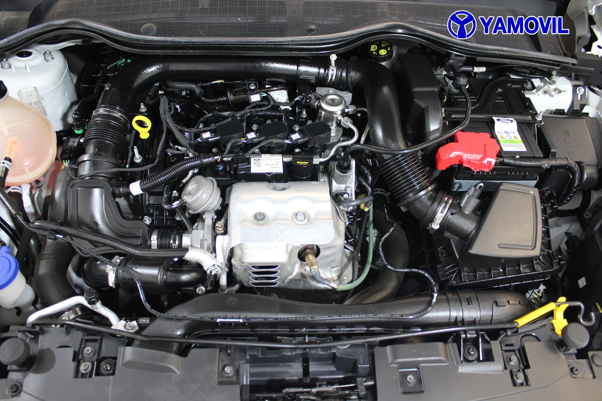 Ford Fiesta 1.0 EcoBoost SANDS Active 74 kW (100 CV) - Foto 8