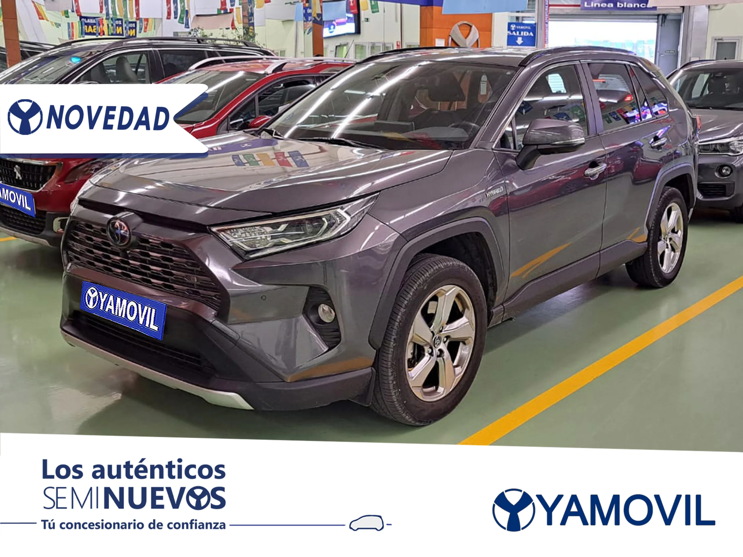 Toyota RAV 4 2.5 HYBRID LUXURY  - Foto 1