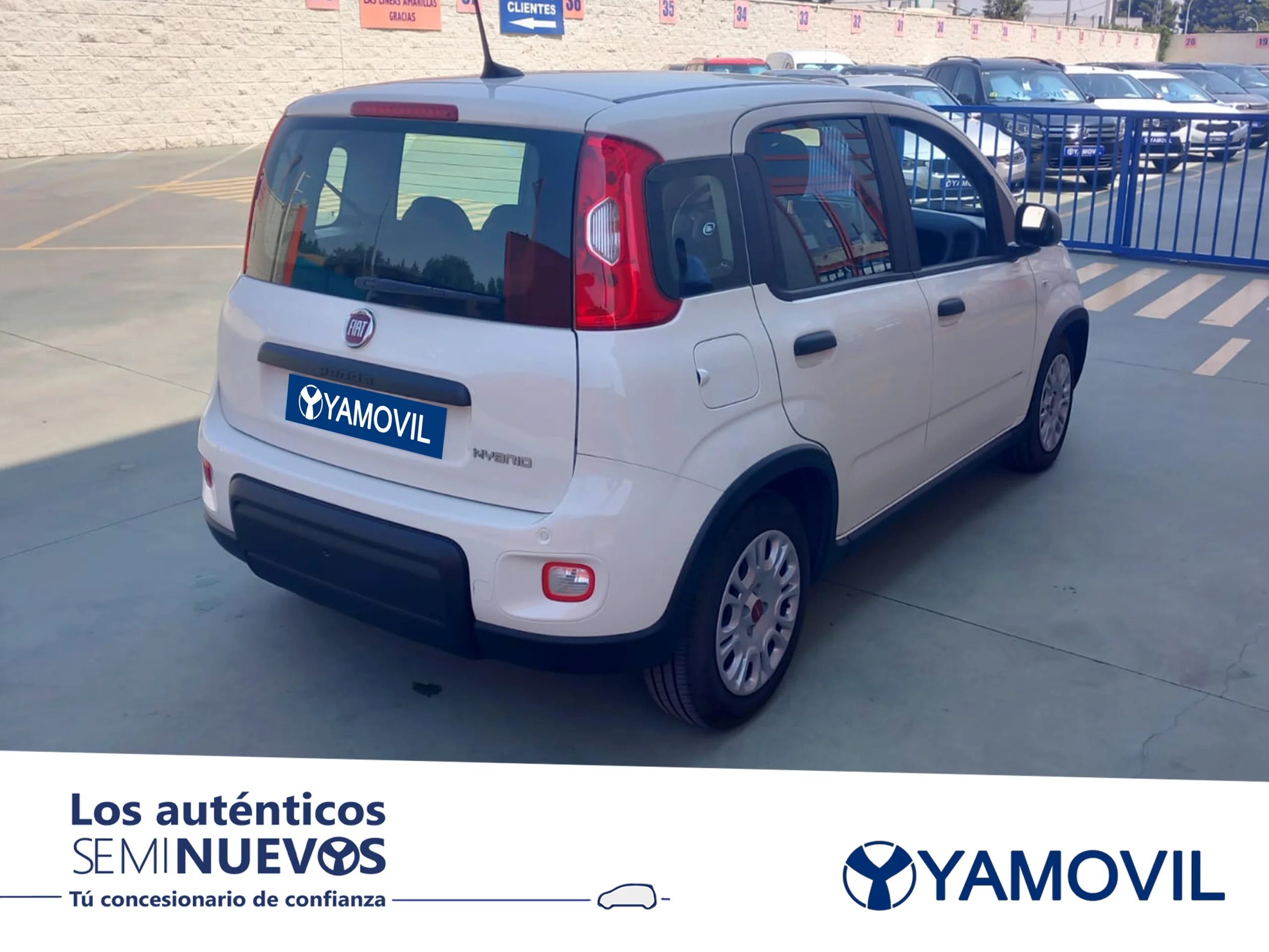 Fiat Panda 1.0 Hybrid 51 kW (70 CV) - Foto 2