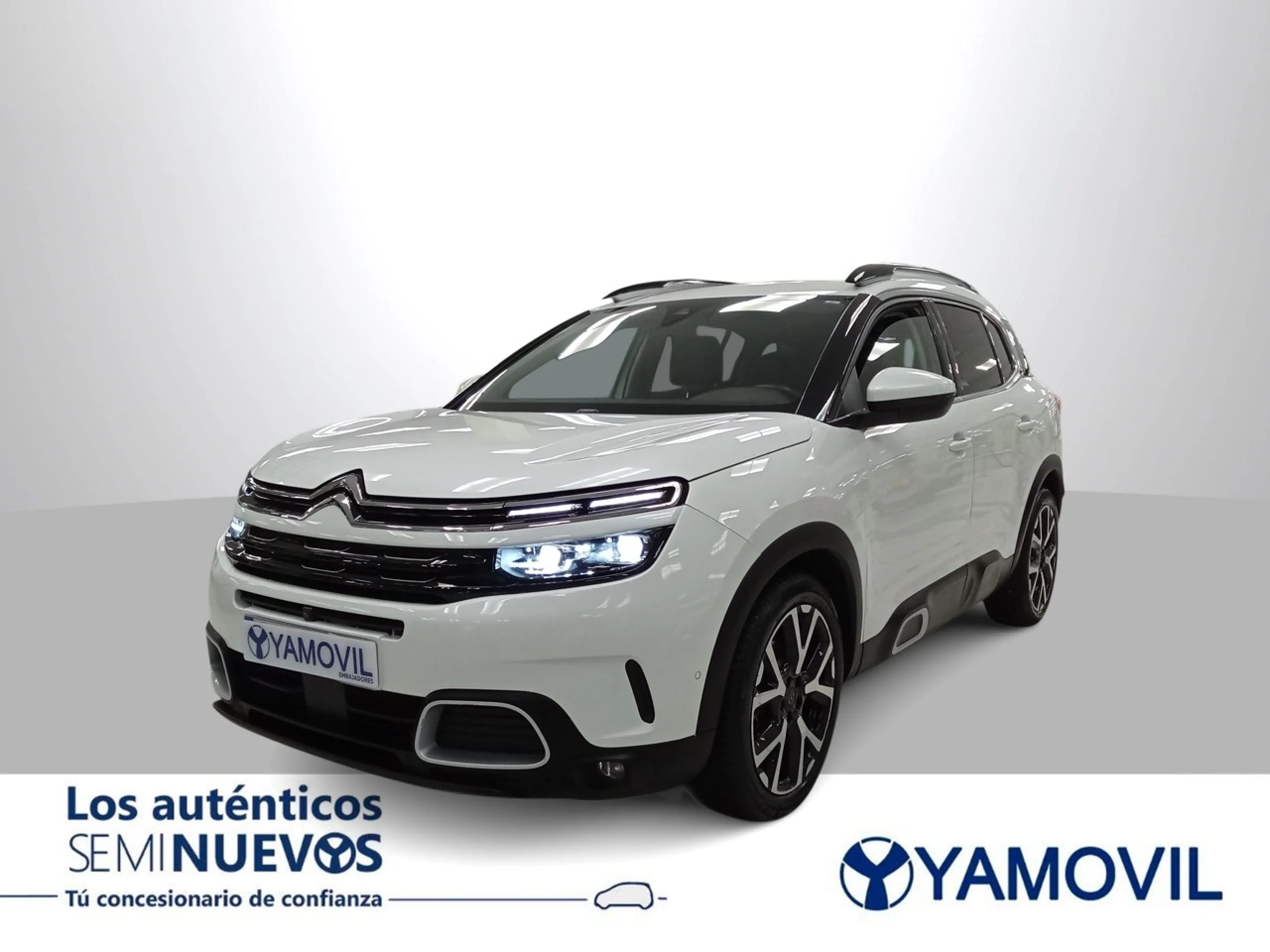 Citroen C5 Aircross PureTech 180 Shine EAT8 133 kW (181 CV) - Foto 1
