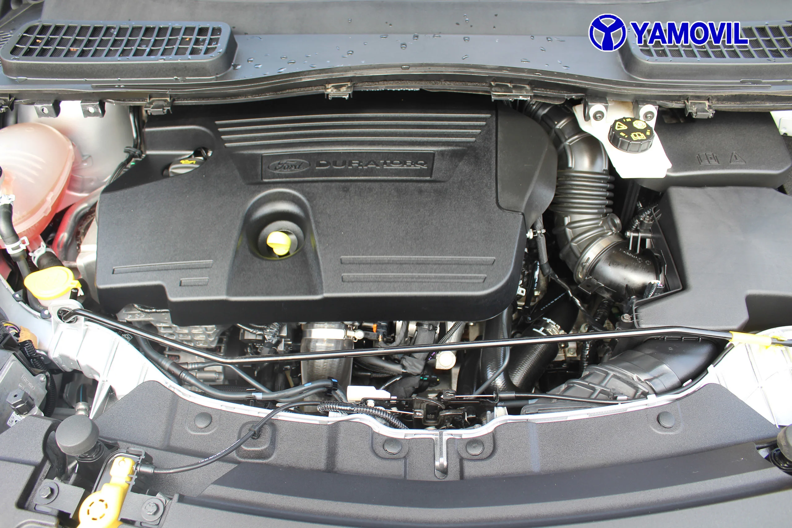 Ford Kuga 2.0 TDCI SANDS Titanium 4x4 110 kW (150 CV) - Foto 8
