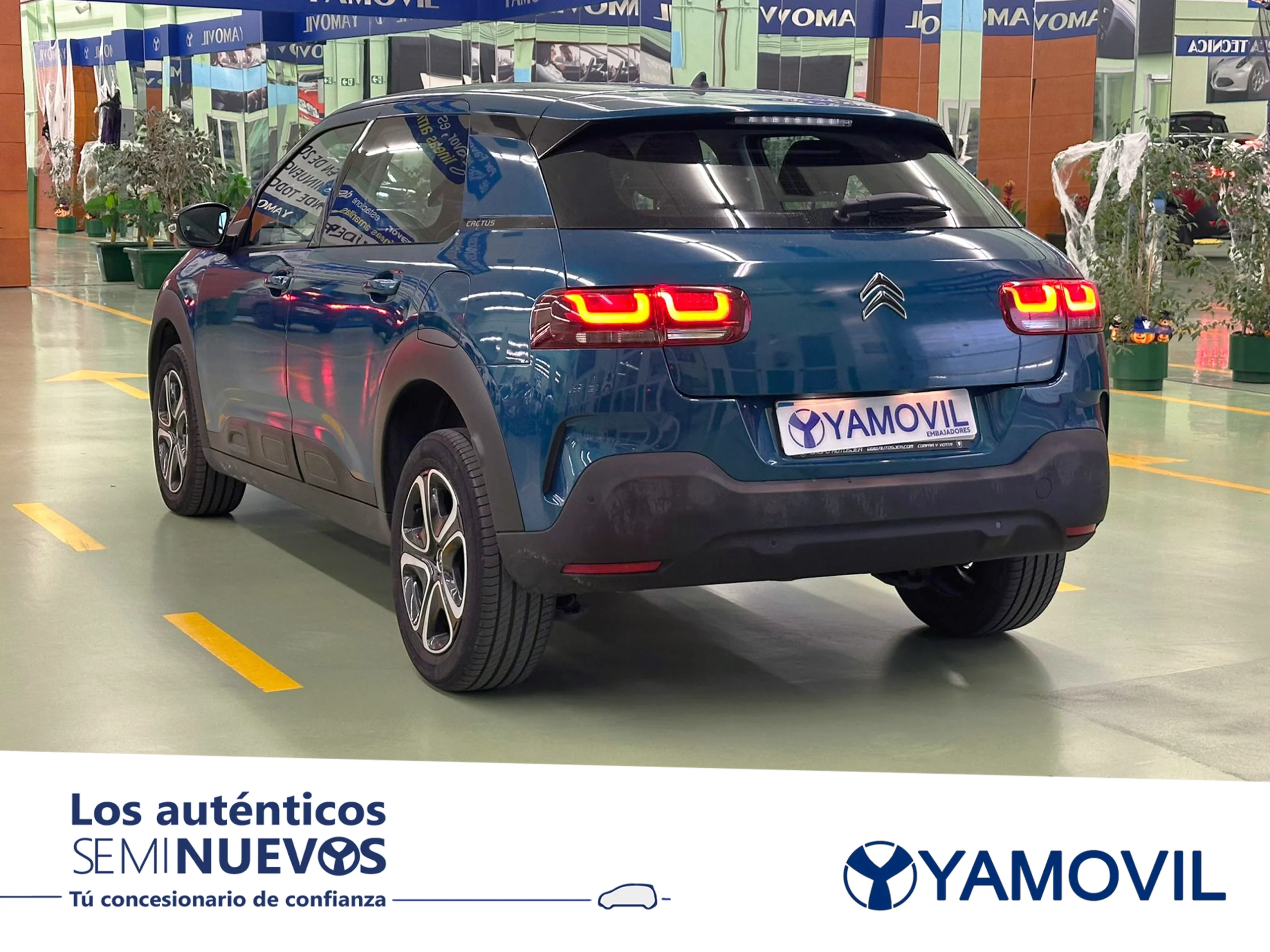 Citroen C4 Cactus BlueHDi 100 SANDS Feel 75 kW (102 CV) - Foto 4