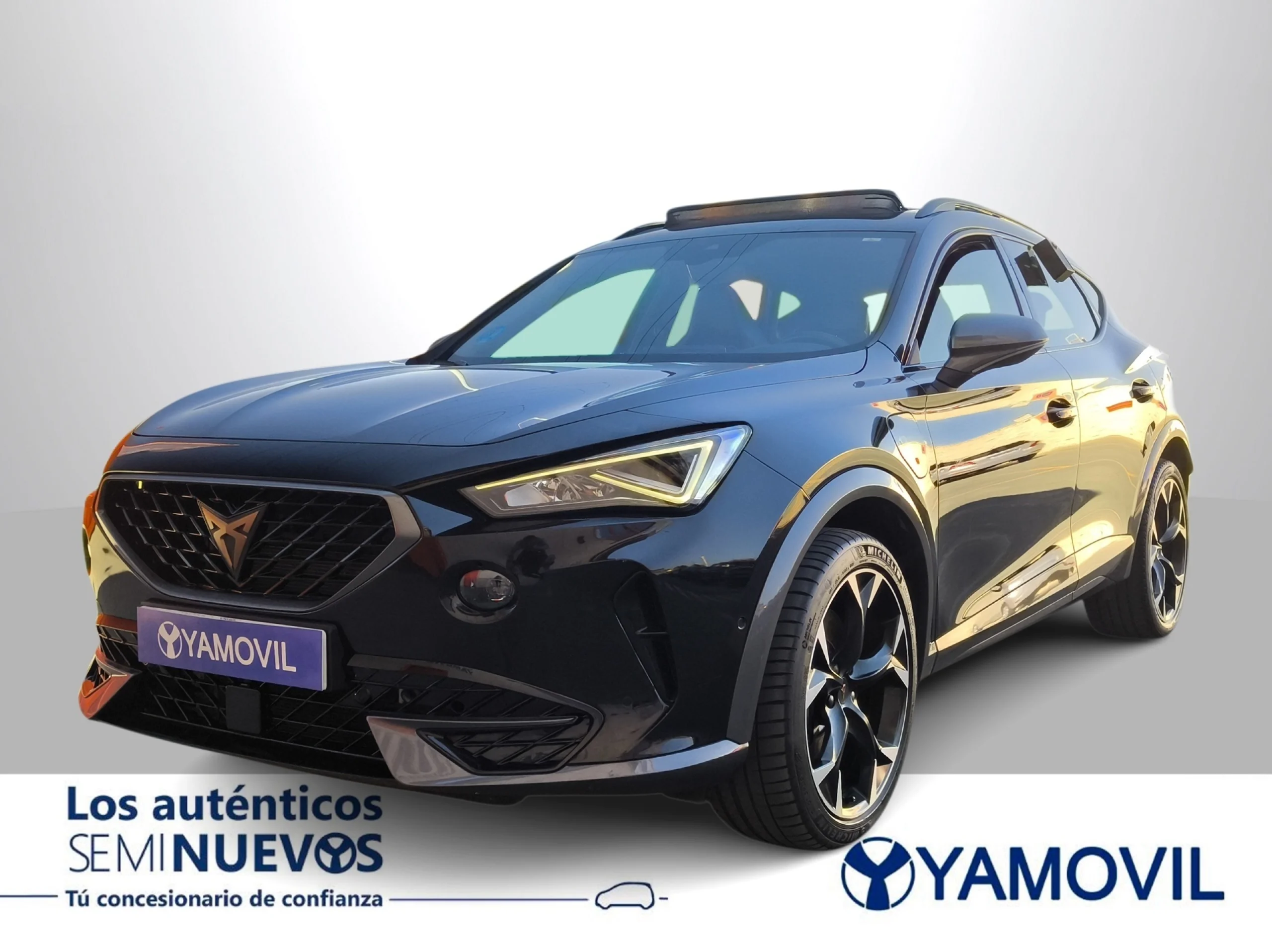 Cupra Formentor 1.4 e-Hybrid VZ DSG 180 kW (245 CV) - Foto 1