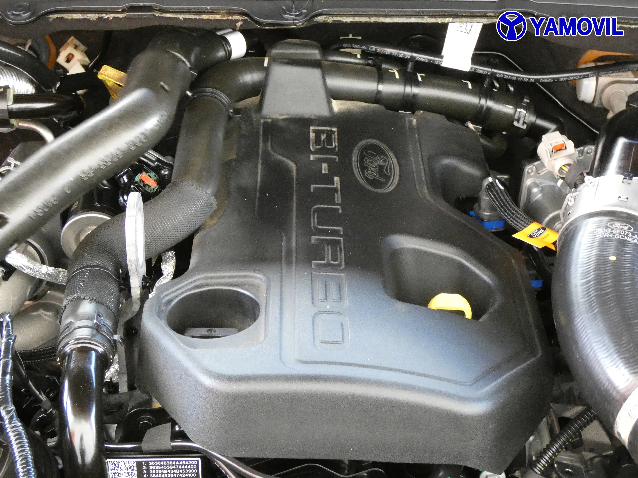 Ford Ranger Pickup 2.0 Ecoblue Doble Cabina Wildtrack 4x4 AT 157 kW (213 CV) - Foto 8