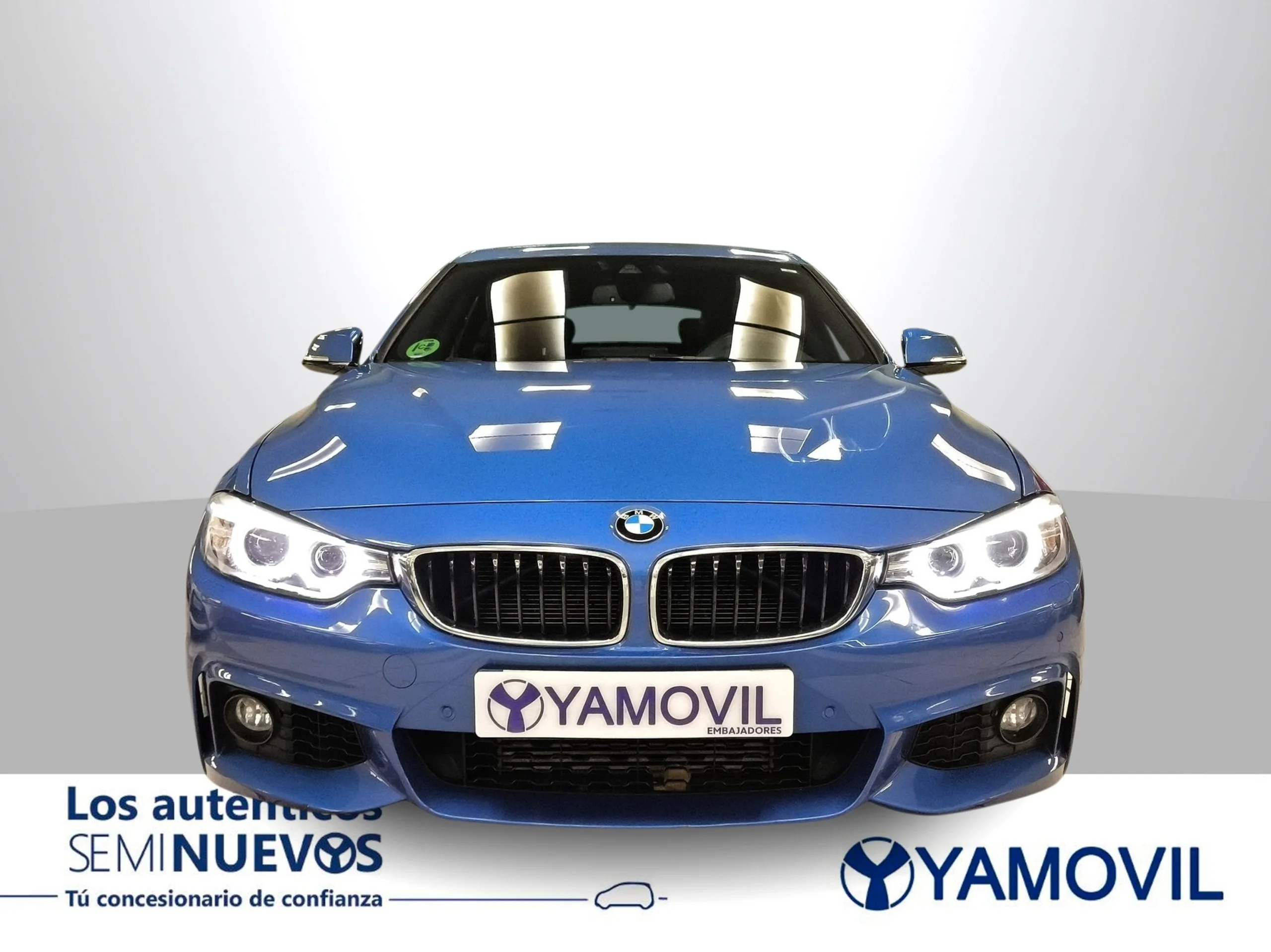 BMW Serie 4 435i Gran Coupe 225 kW (306 CV) - Foto 3