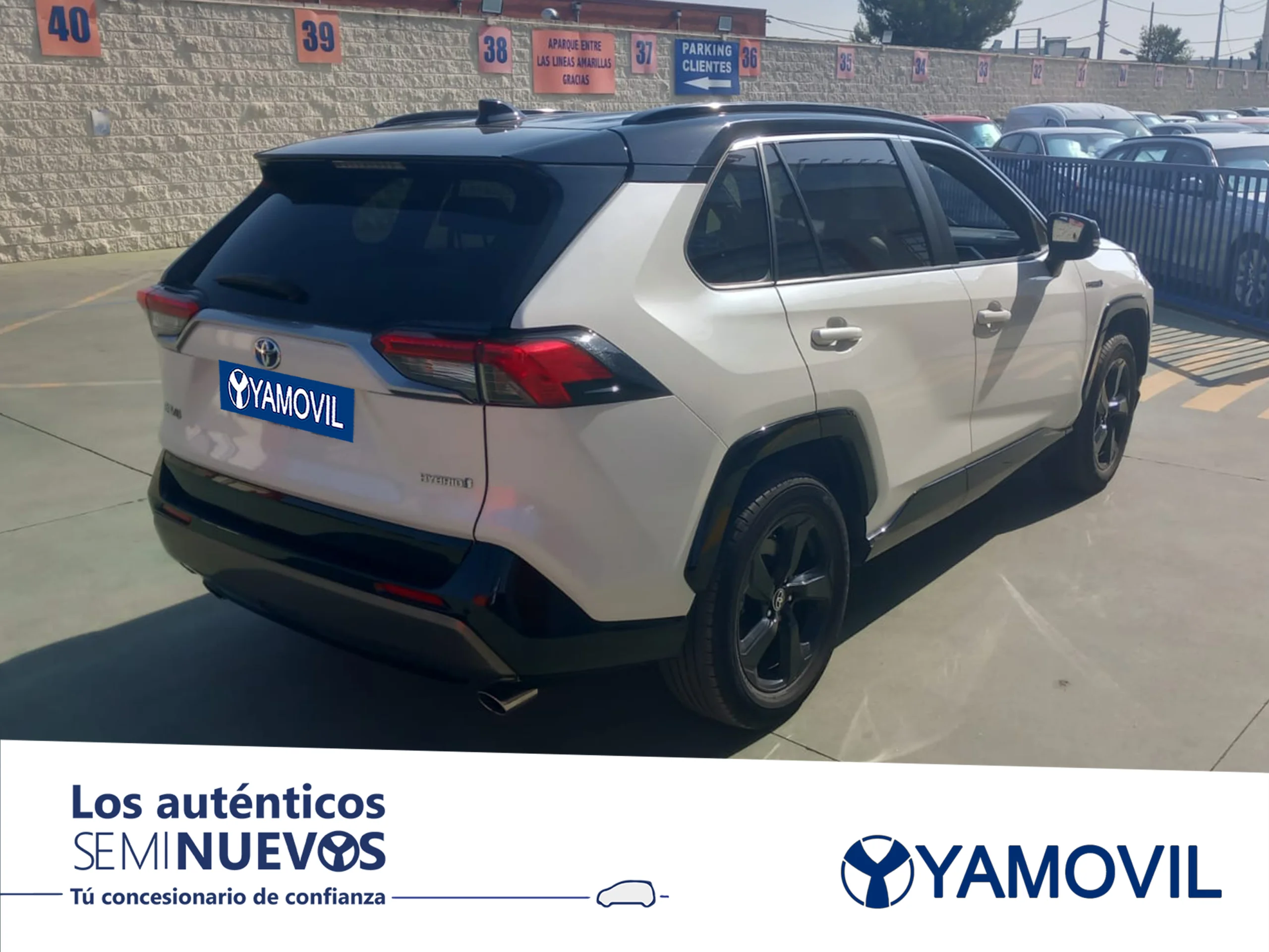 Toyota Rav4 2.5l hybrid Style 160 kW (218 CV) - Foto 2