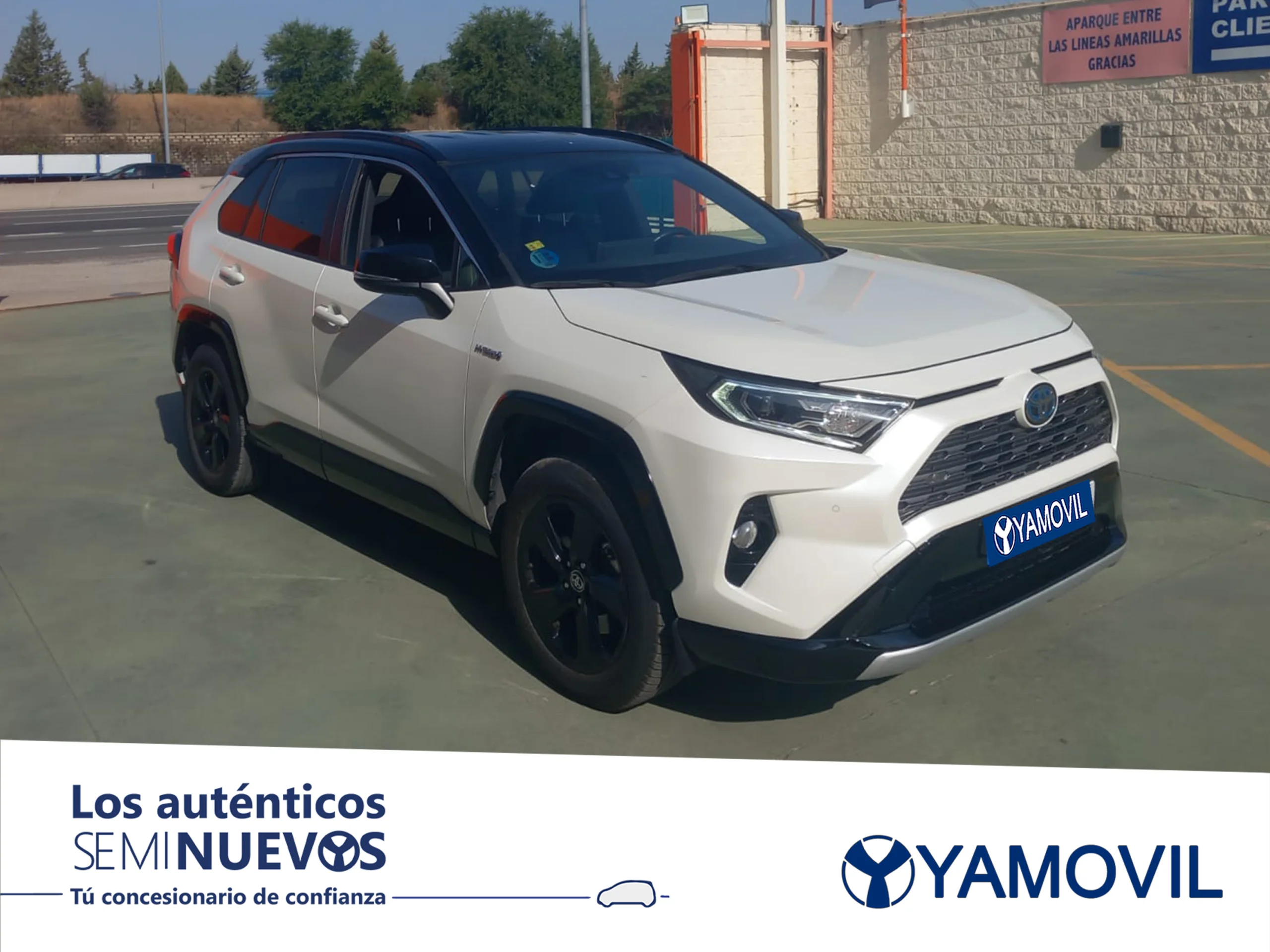 Toyota Rav4 2.5l hybrid Style 160 kW (218 CV) - Foto 3