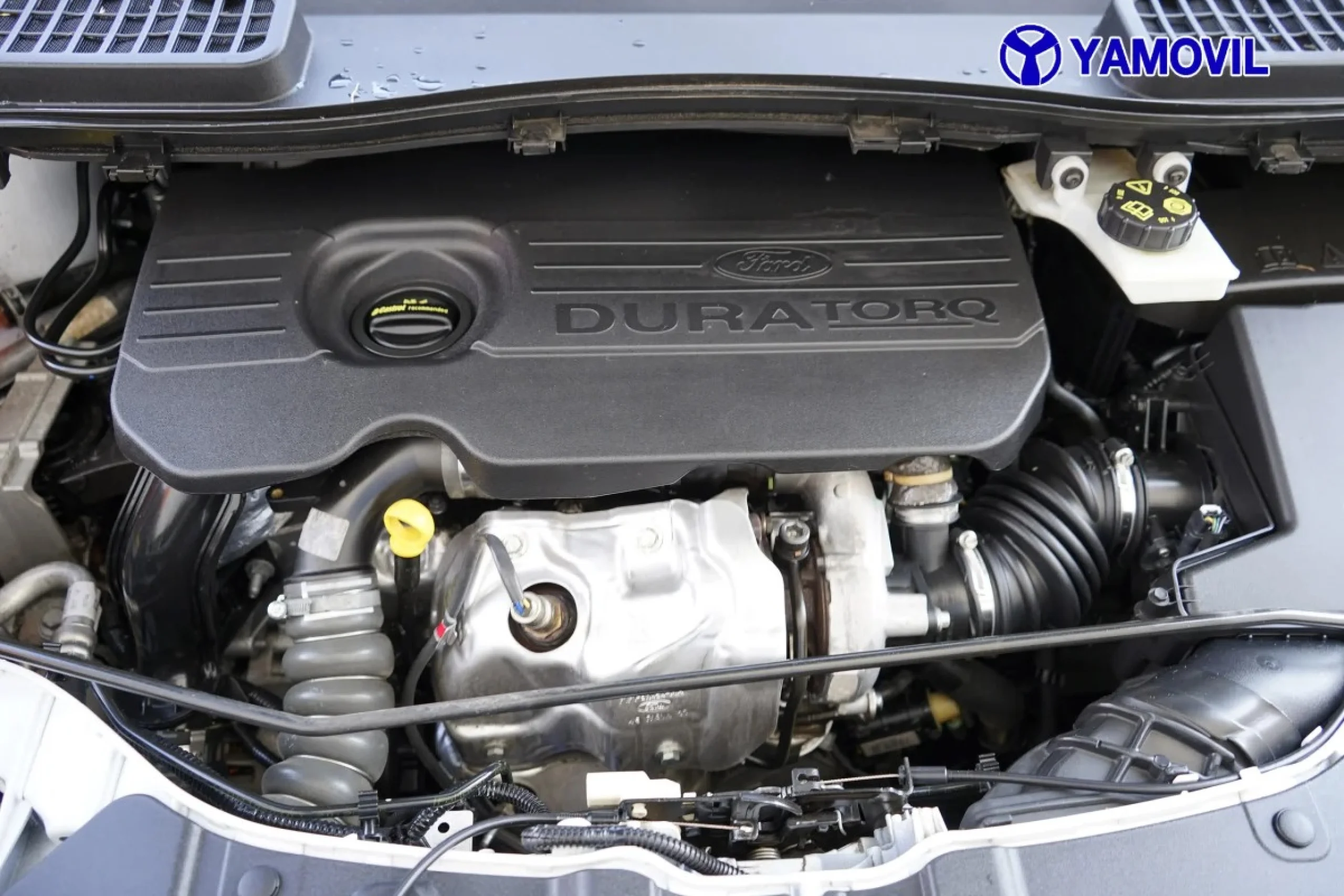 Ford Kuga 1.5 TDCI SANDS ST-Line 4x2 88 kW (120 CV) - Foto 8